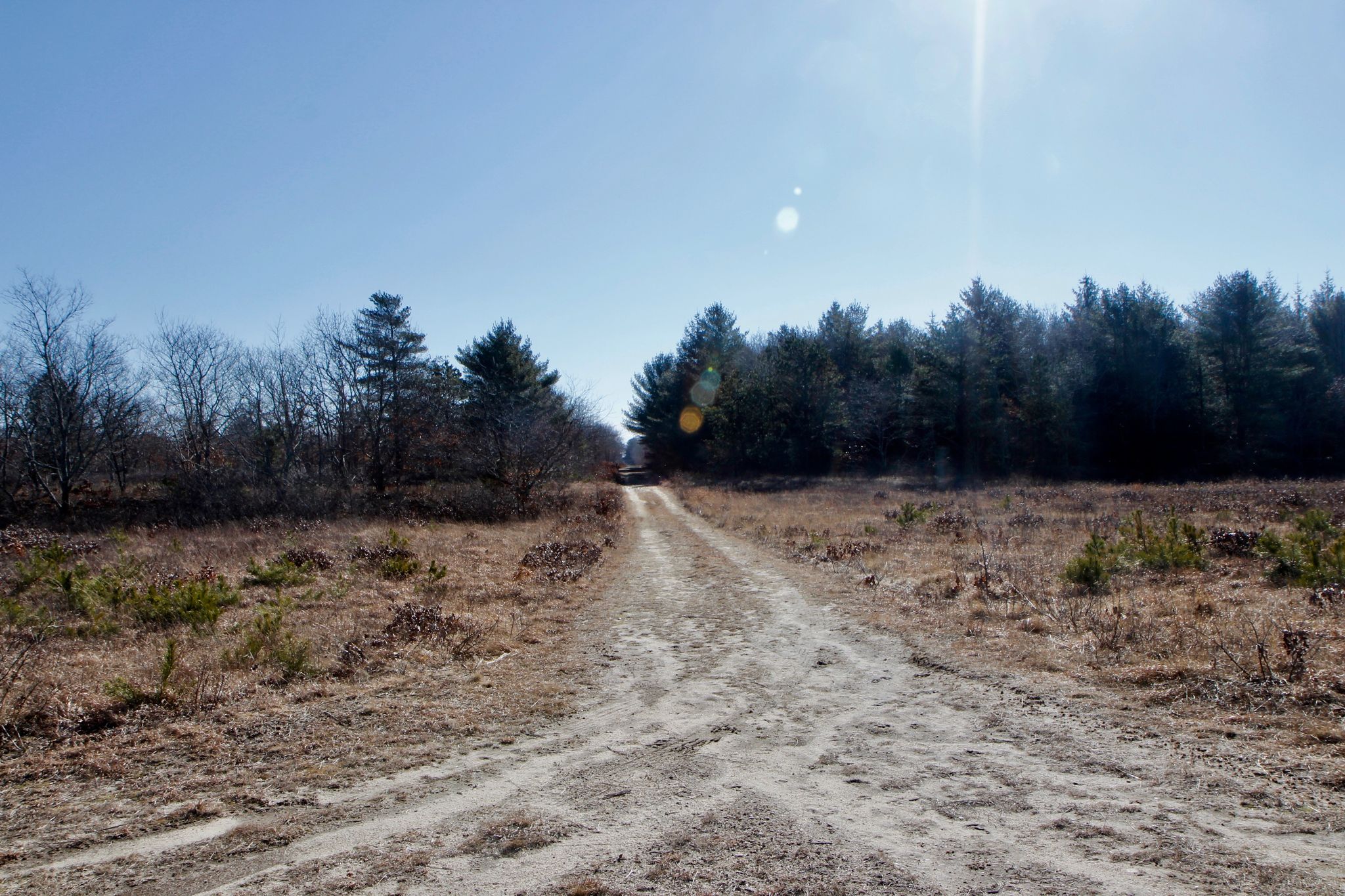 sandy, unpaved fire trail