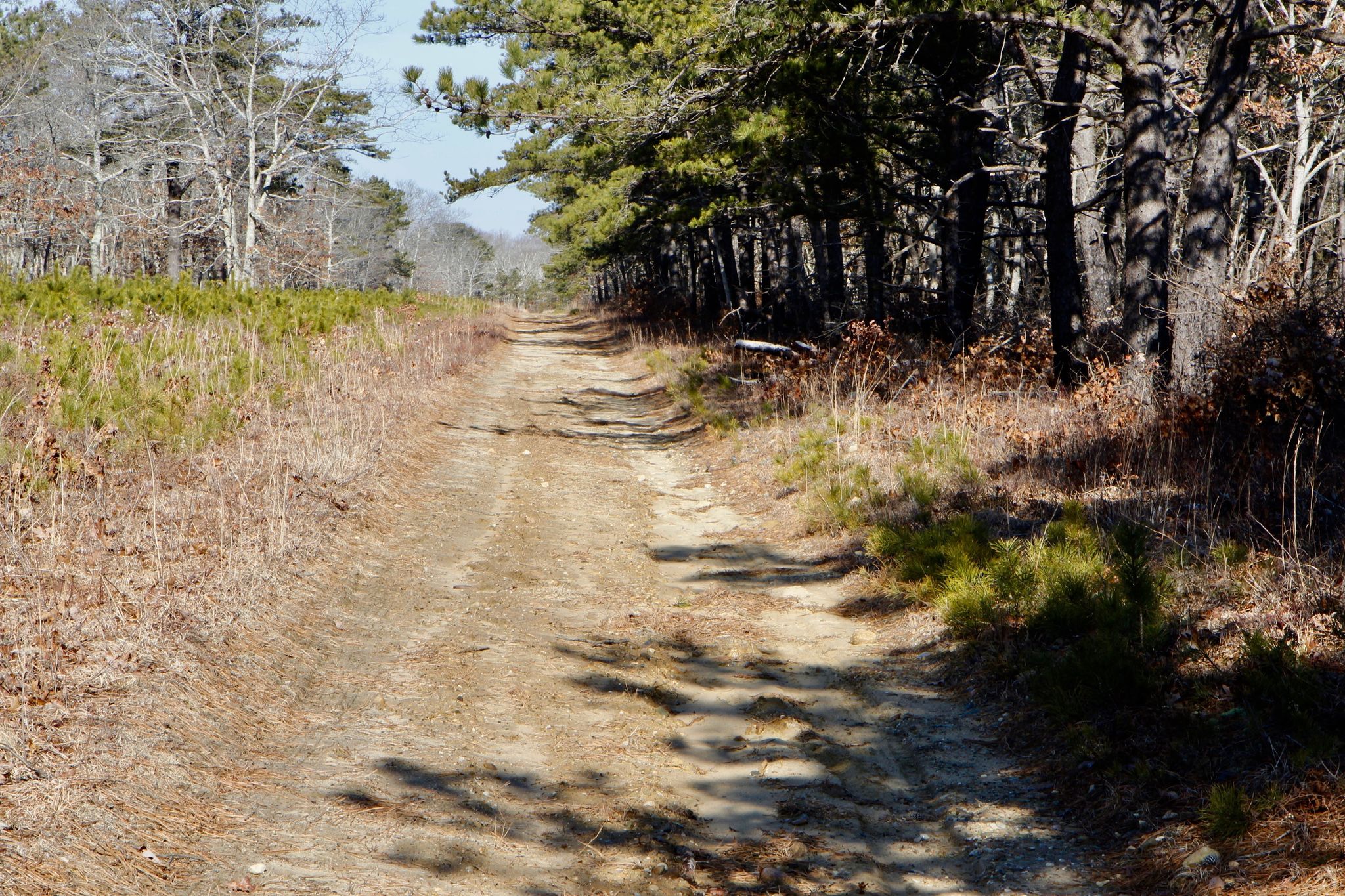 unpaved fire trail