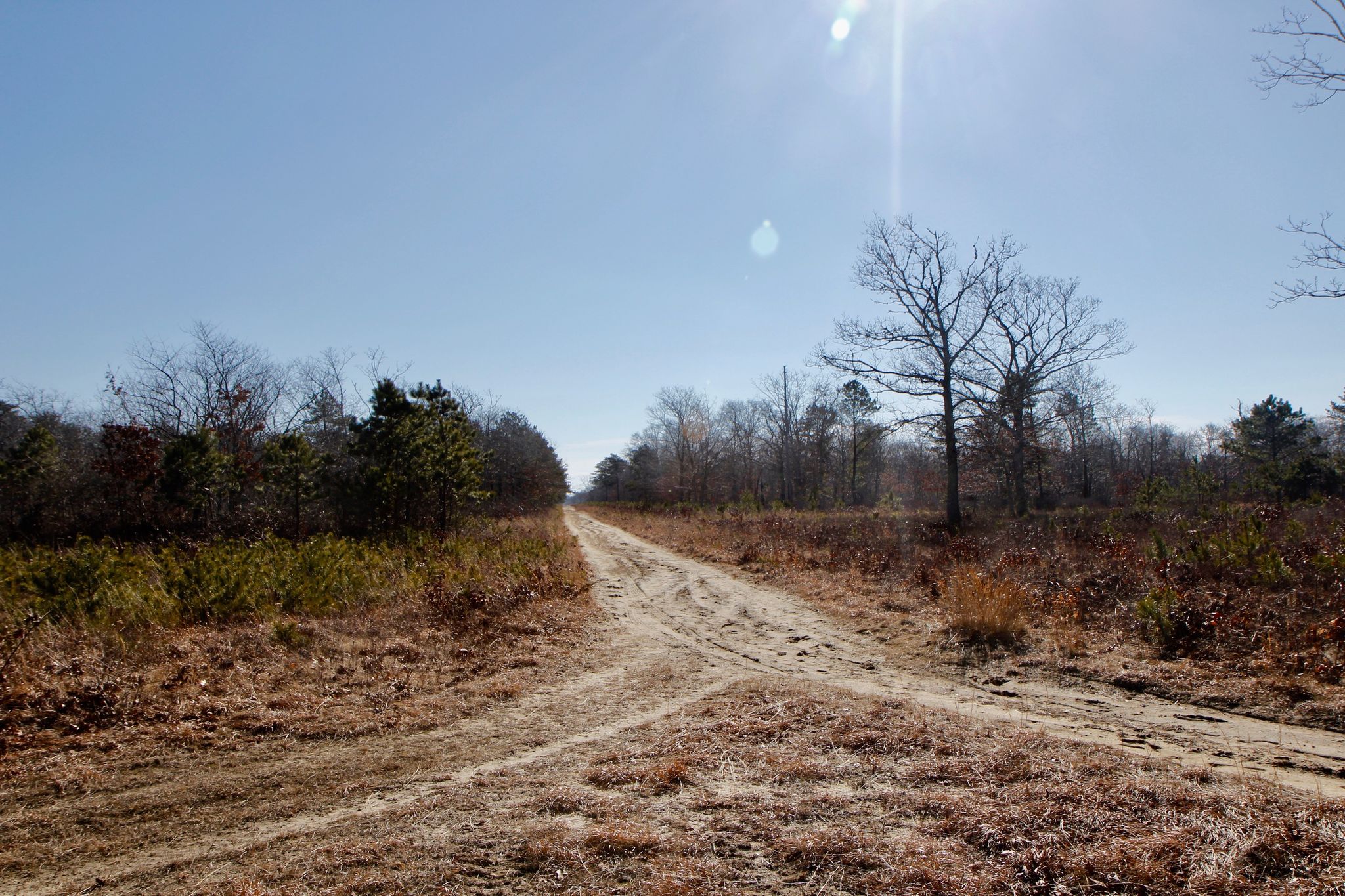 sandy fire trail