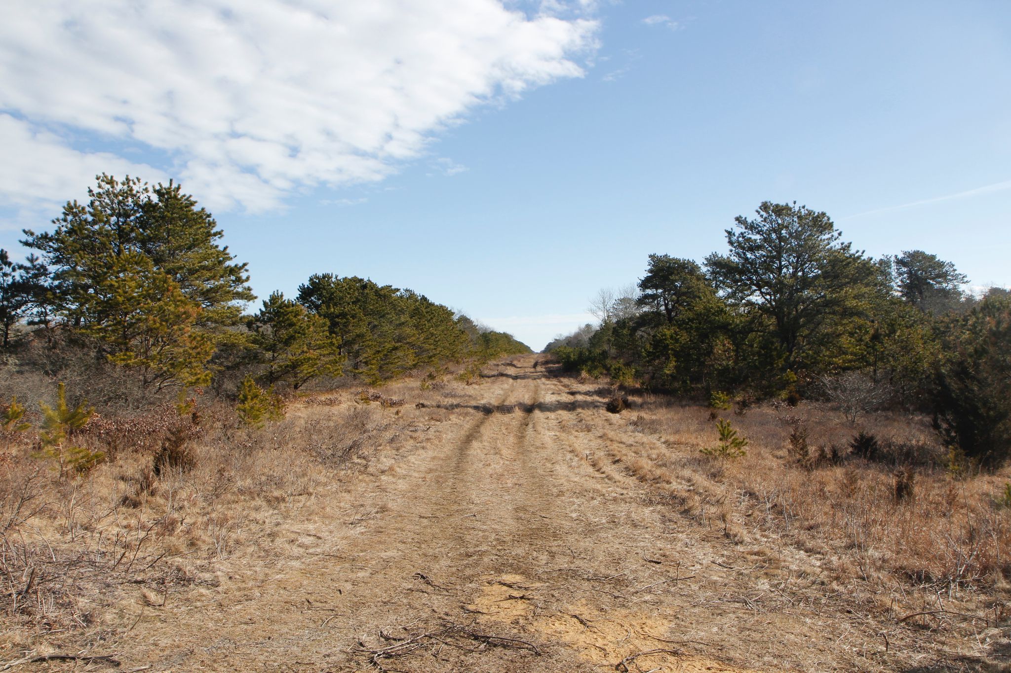 at intersection with Bike Path Fire Trail 2