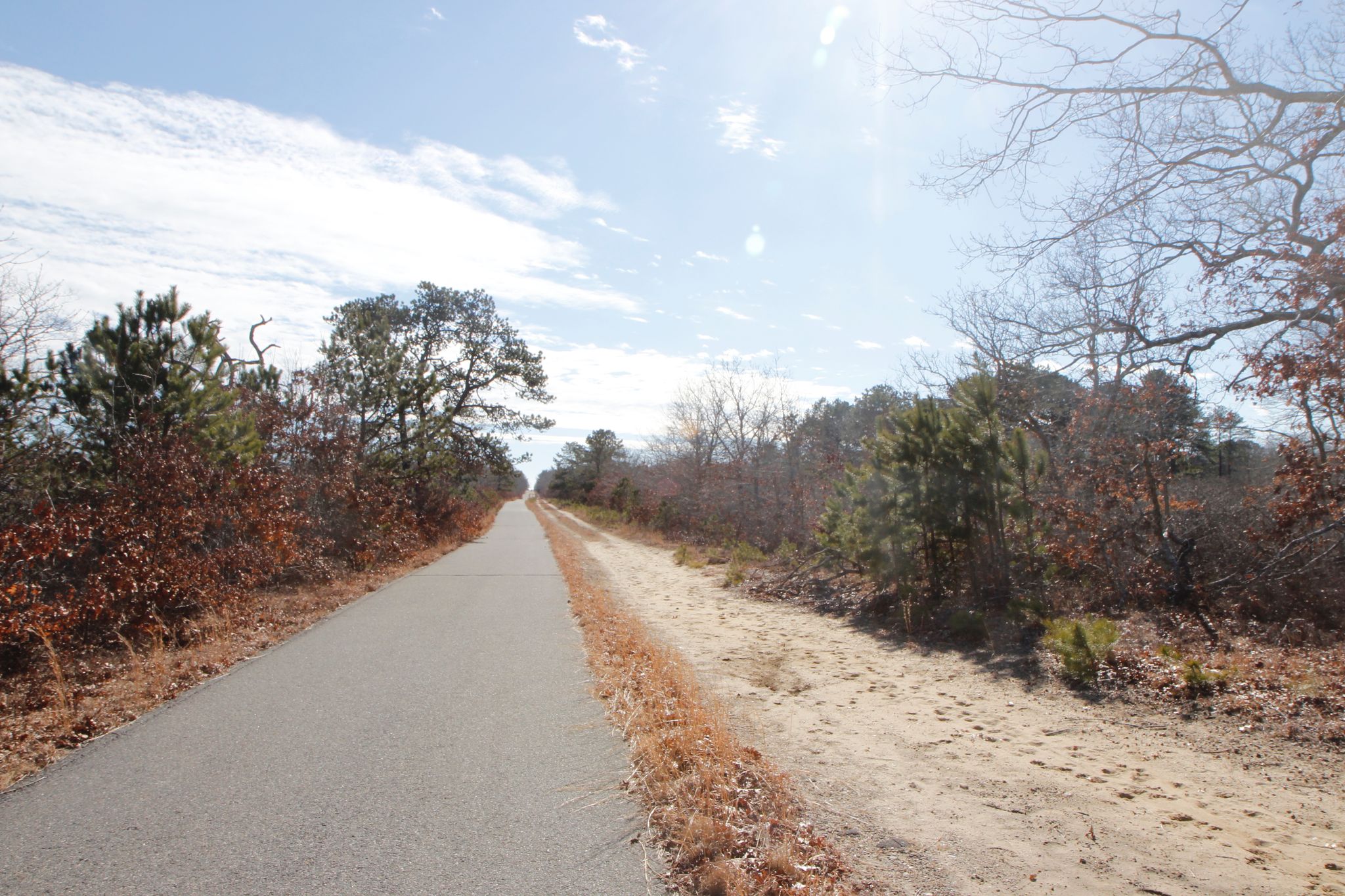 paved bike path, unpaved fire trail