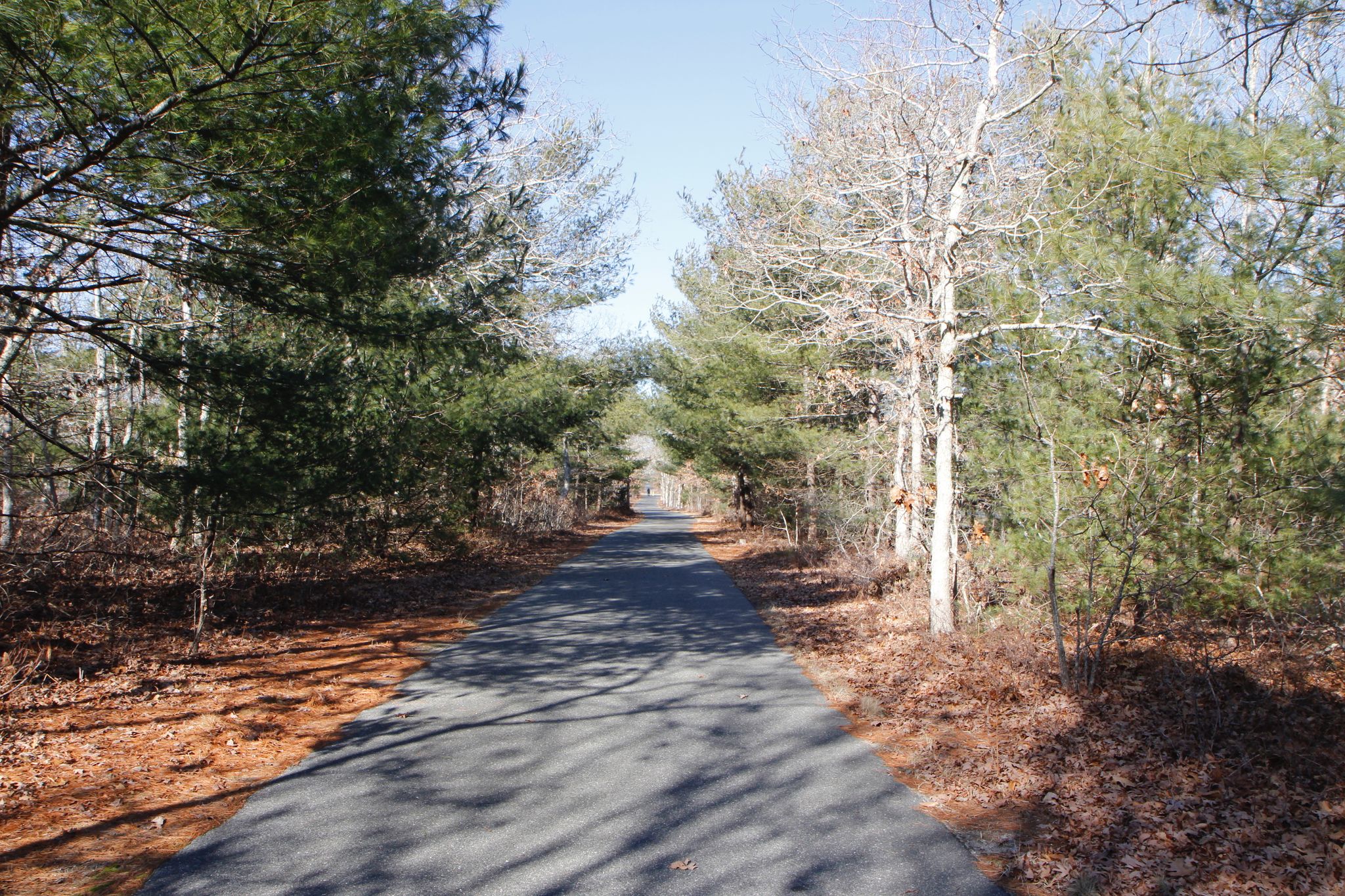 paved bike path-along Barnes Road