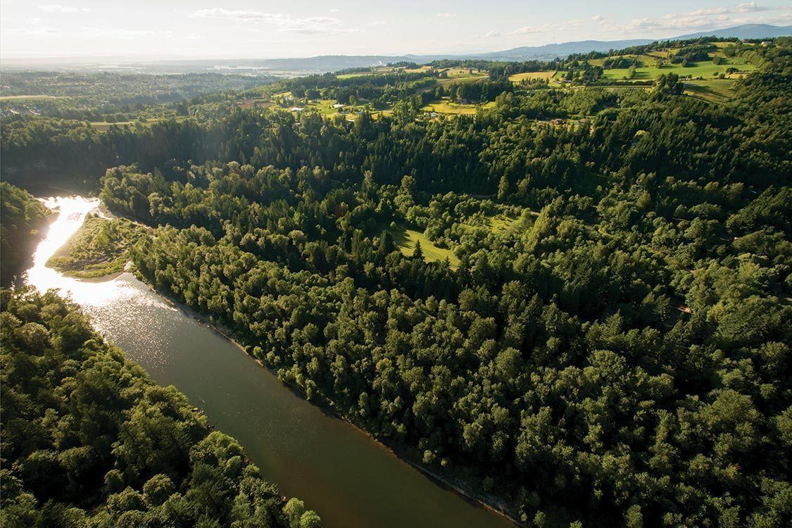 oxbow_aerial_1125.jpg