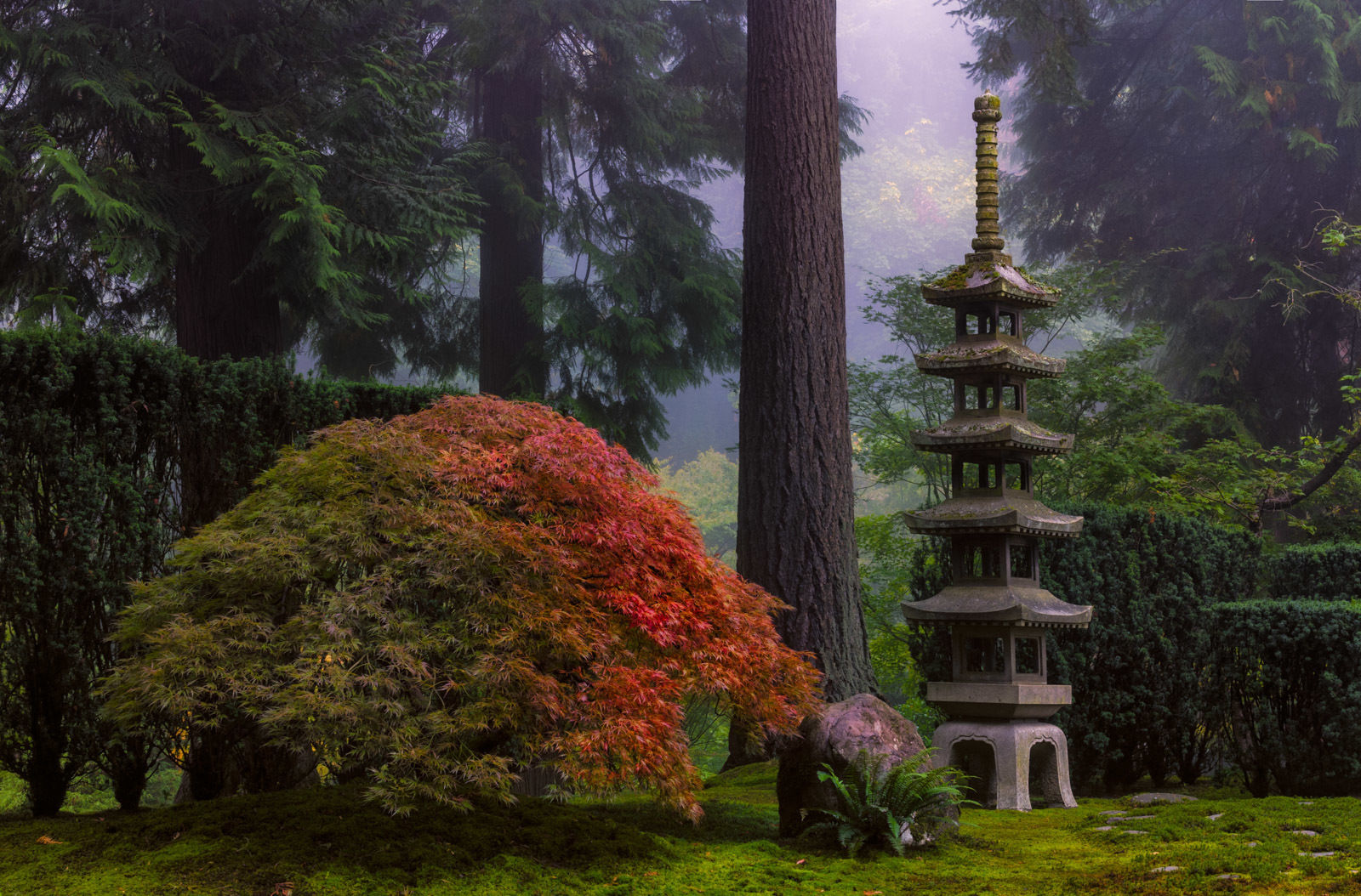 Sapporo-Lantern-in-Late-Summer-Dusk.-Photo-by-Roman-Johnston-1.jpg