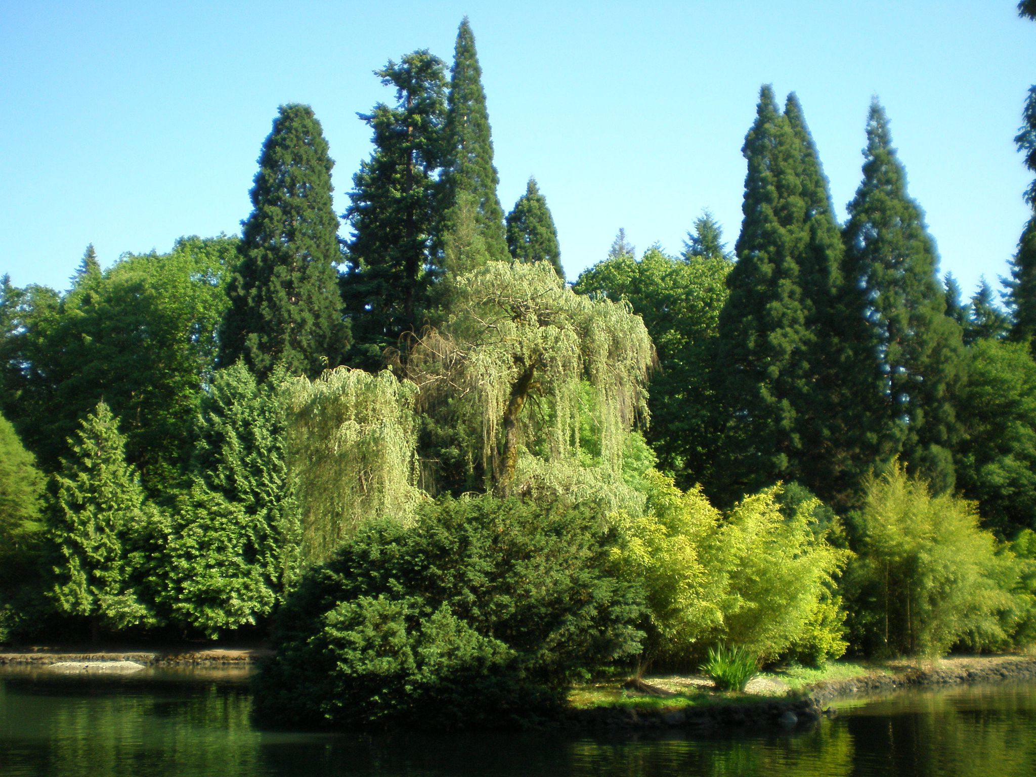 Laurelhurst_Park__Portland__June_2011.jpg