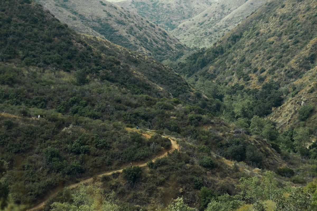 A trail winds through a shrubby hillside.