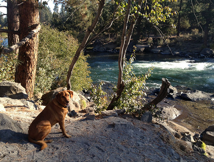 Upper Deschutes River Trail