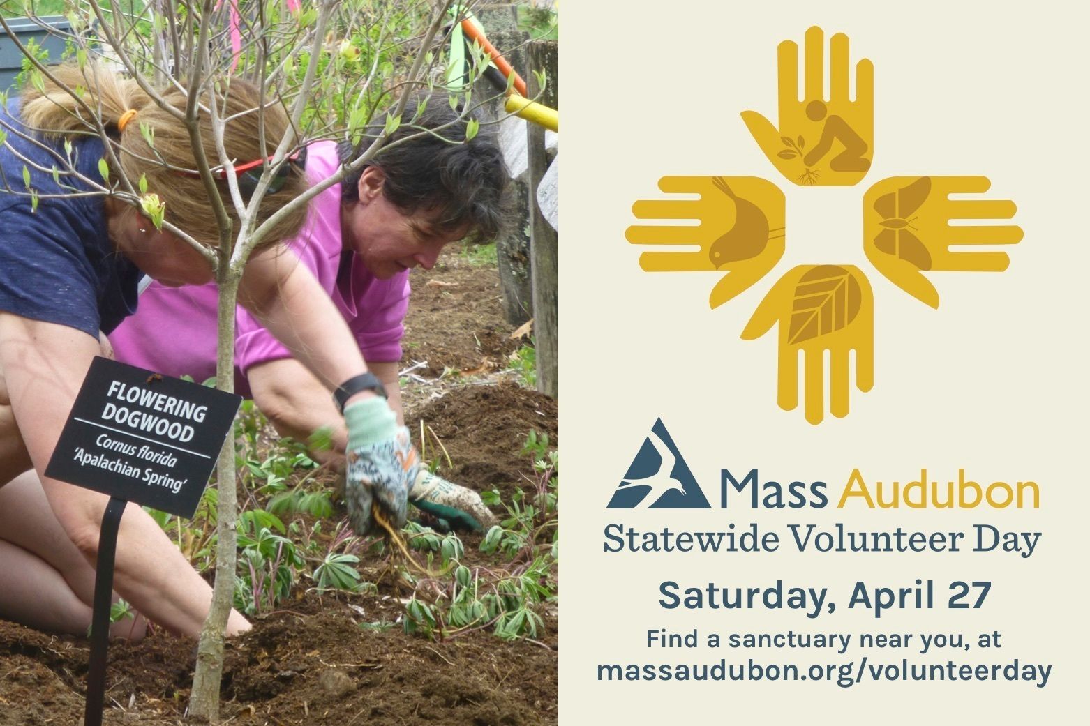 MA Audubon Volunteer Day