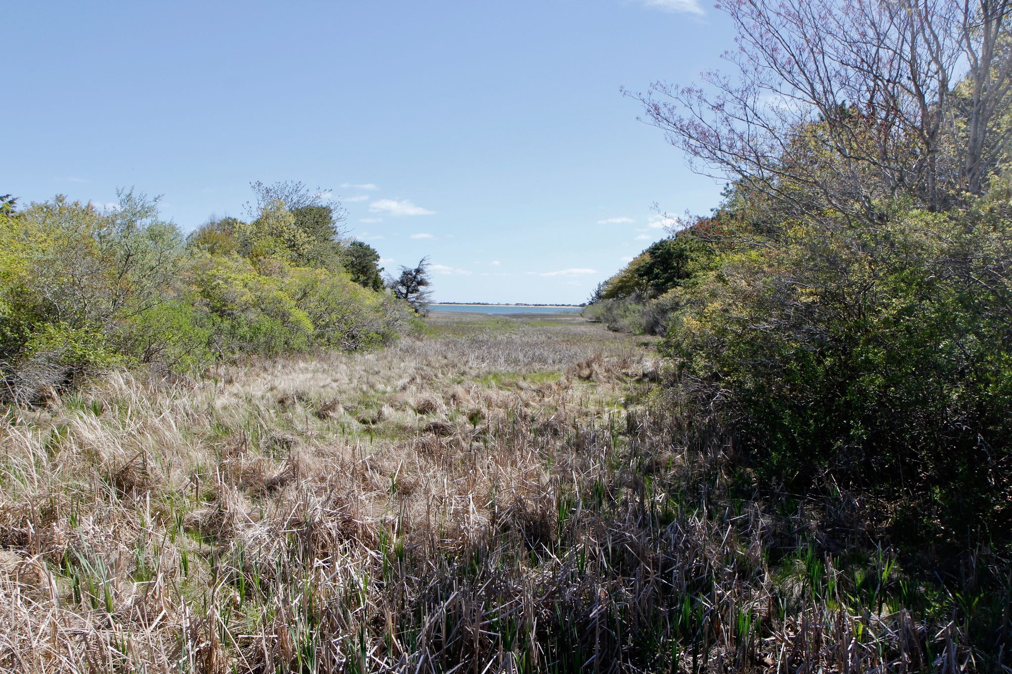 view to Sengegontacket