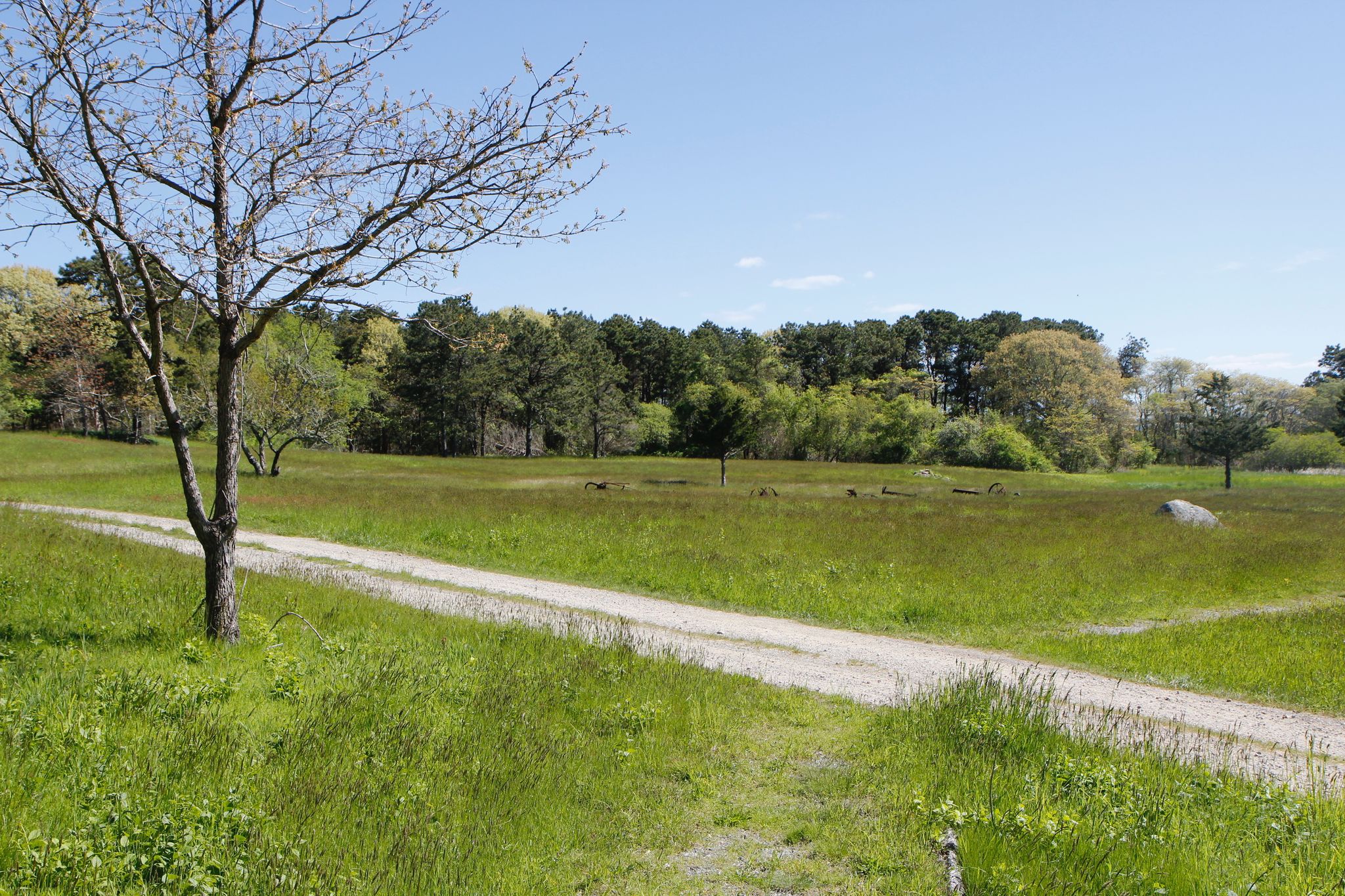 view of field near trailhead