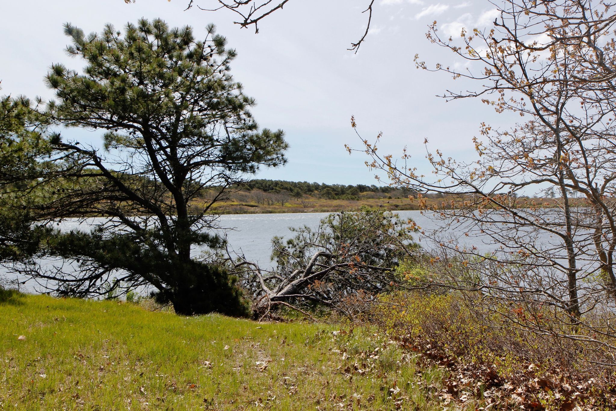 views of Long Cove