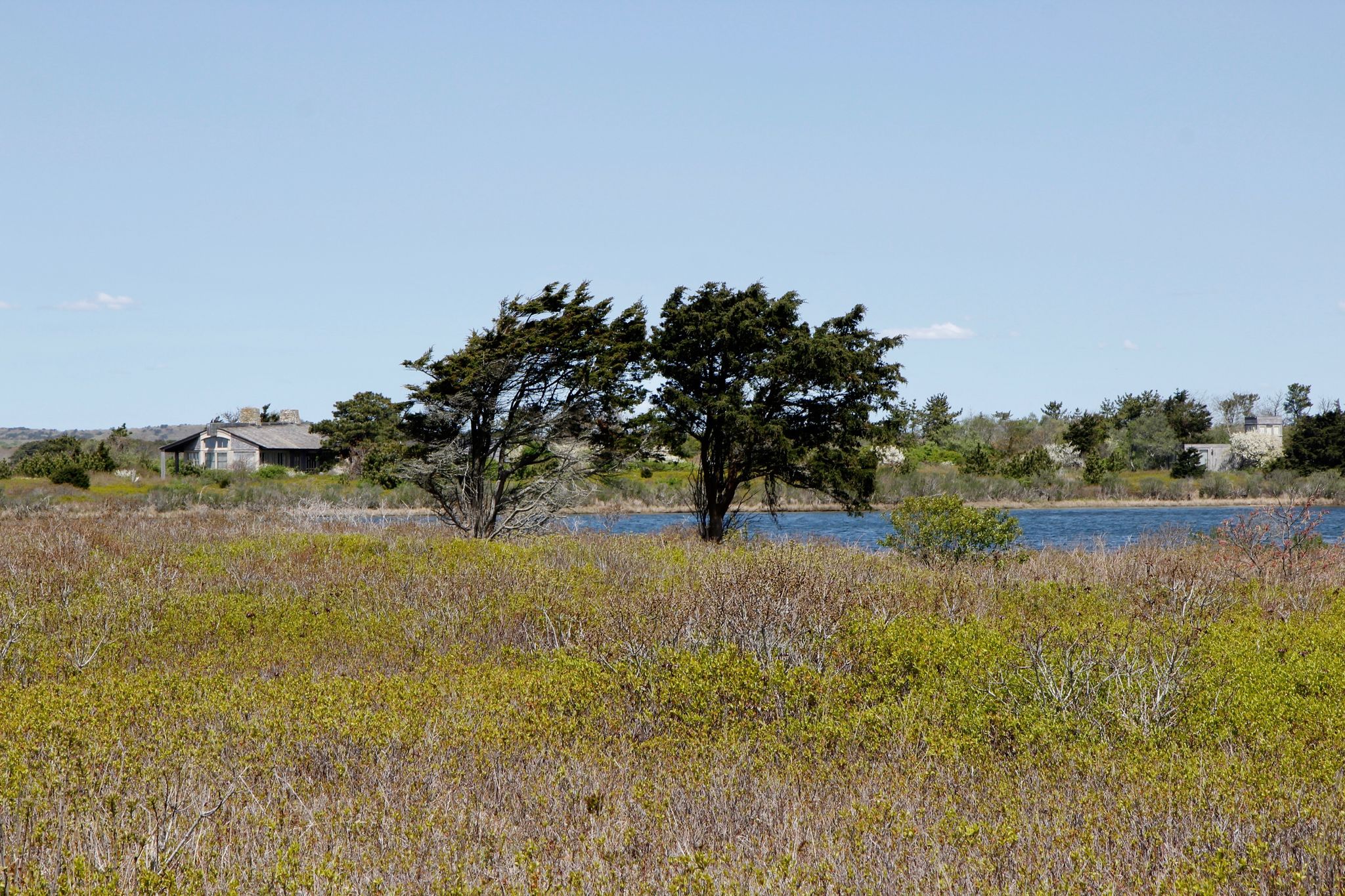 view to Pond