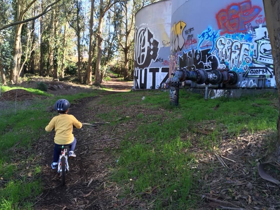 Kid on bike passes graffittied water tanks above Laguna Honda hospital, in eucalyptus grove. 
