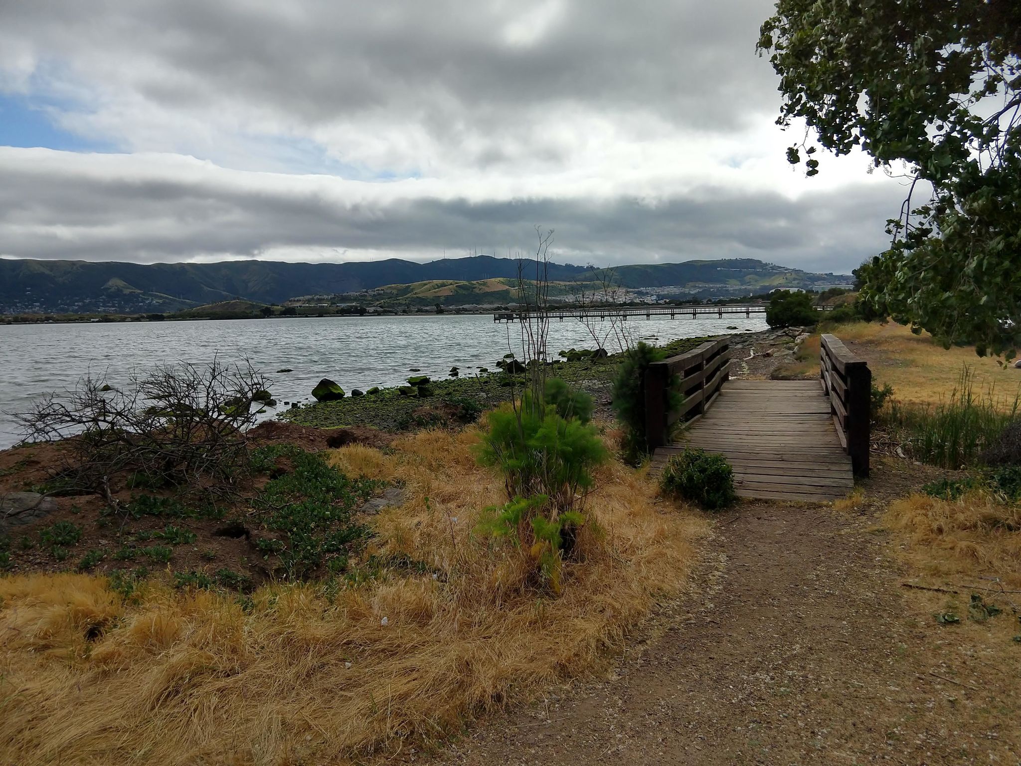 Trail between Candlestick Point and Last Port picnic area (2019), with old fishing pier and San Bruno Mountain beyond.