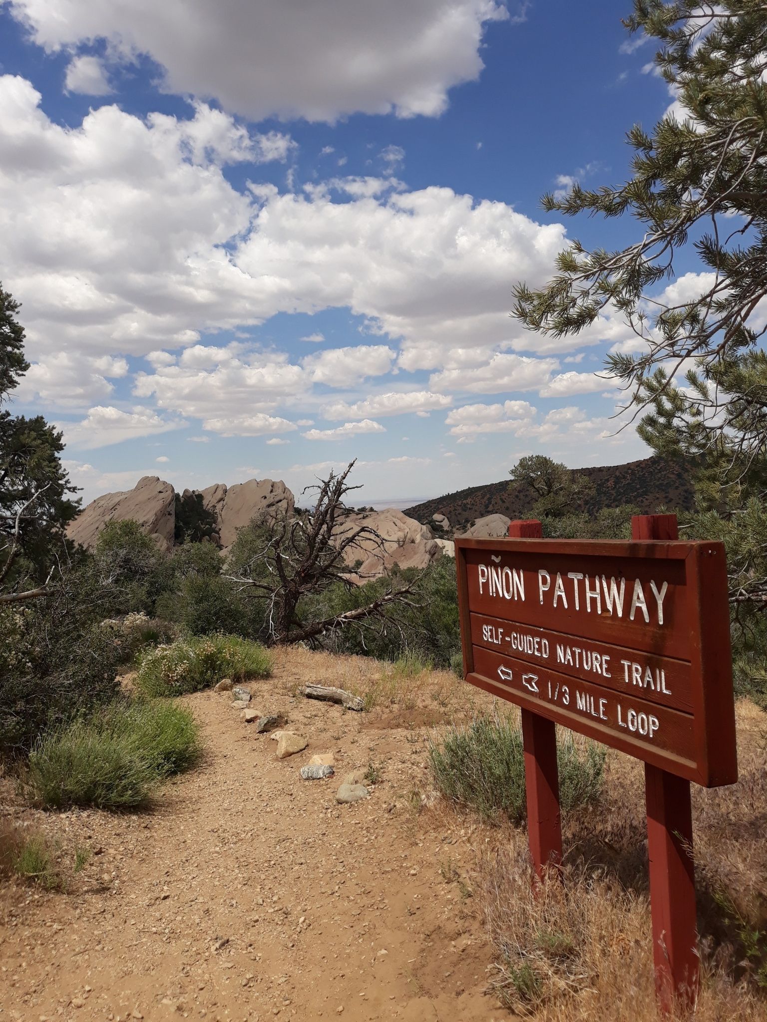 Pinyon_Pathway_with_sign.jpg