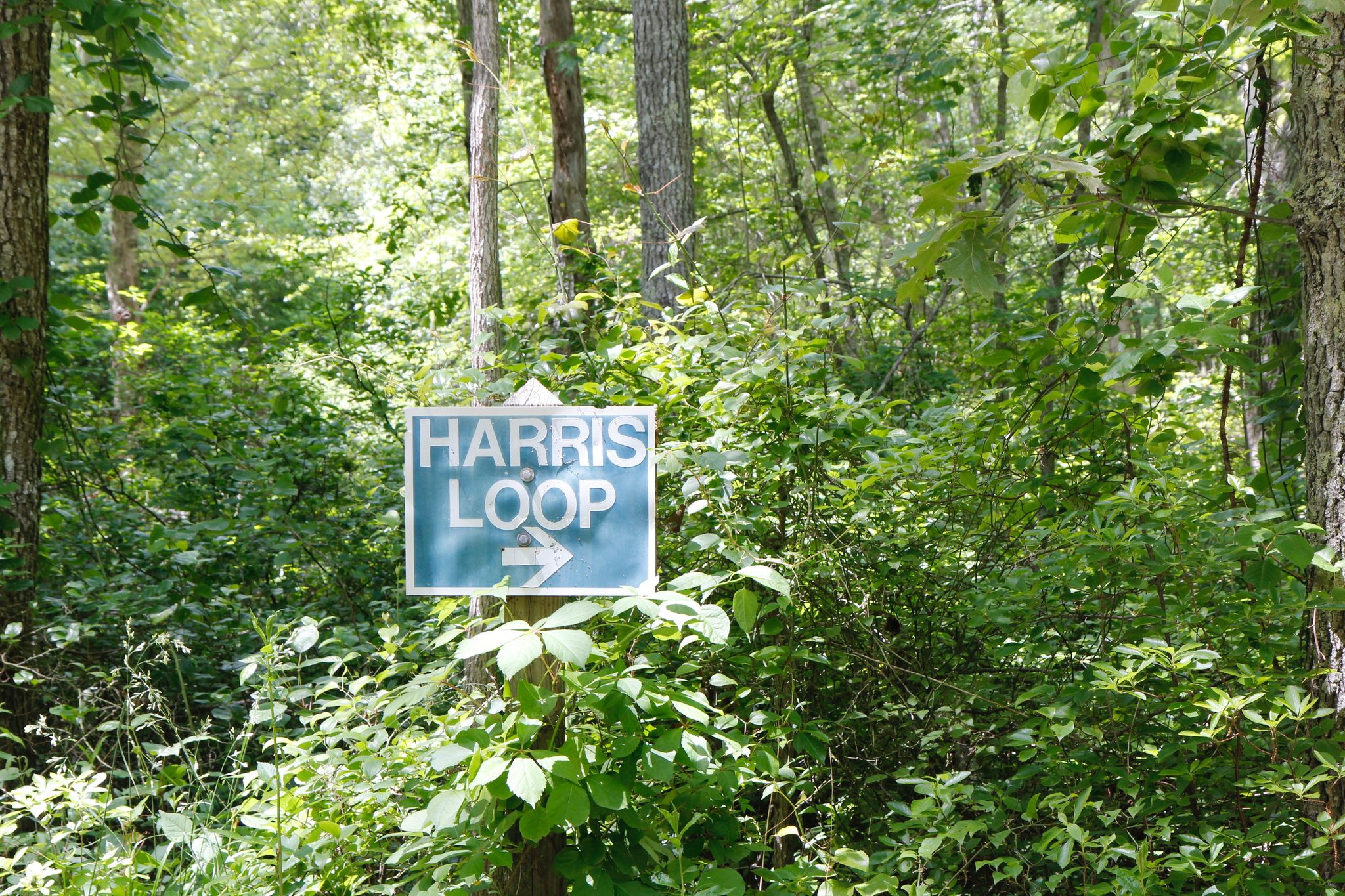 sign at beginning of trail