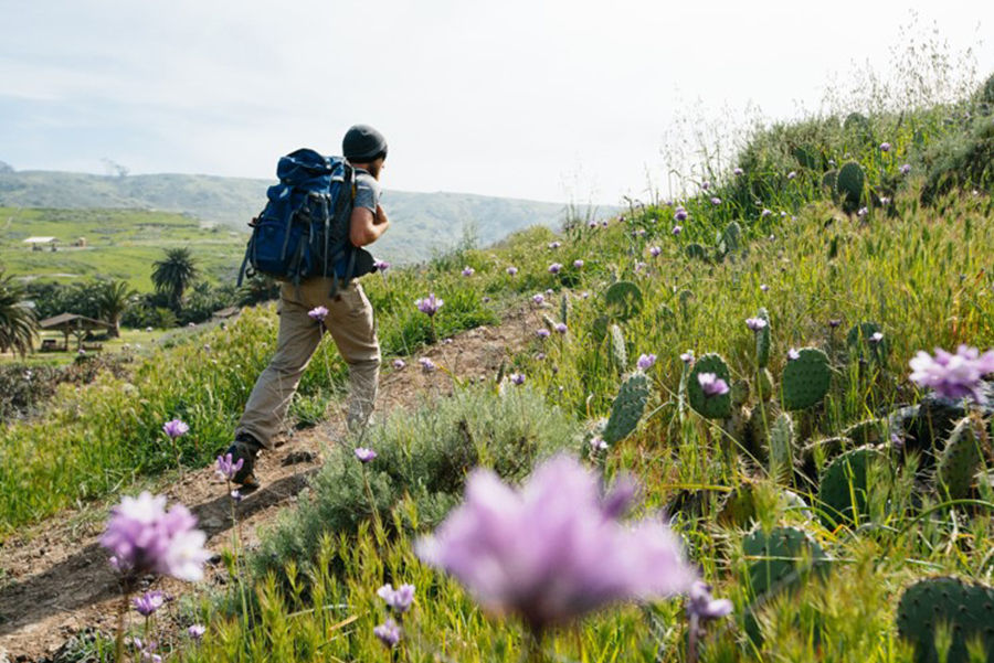 Catalina Hiking Highlights