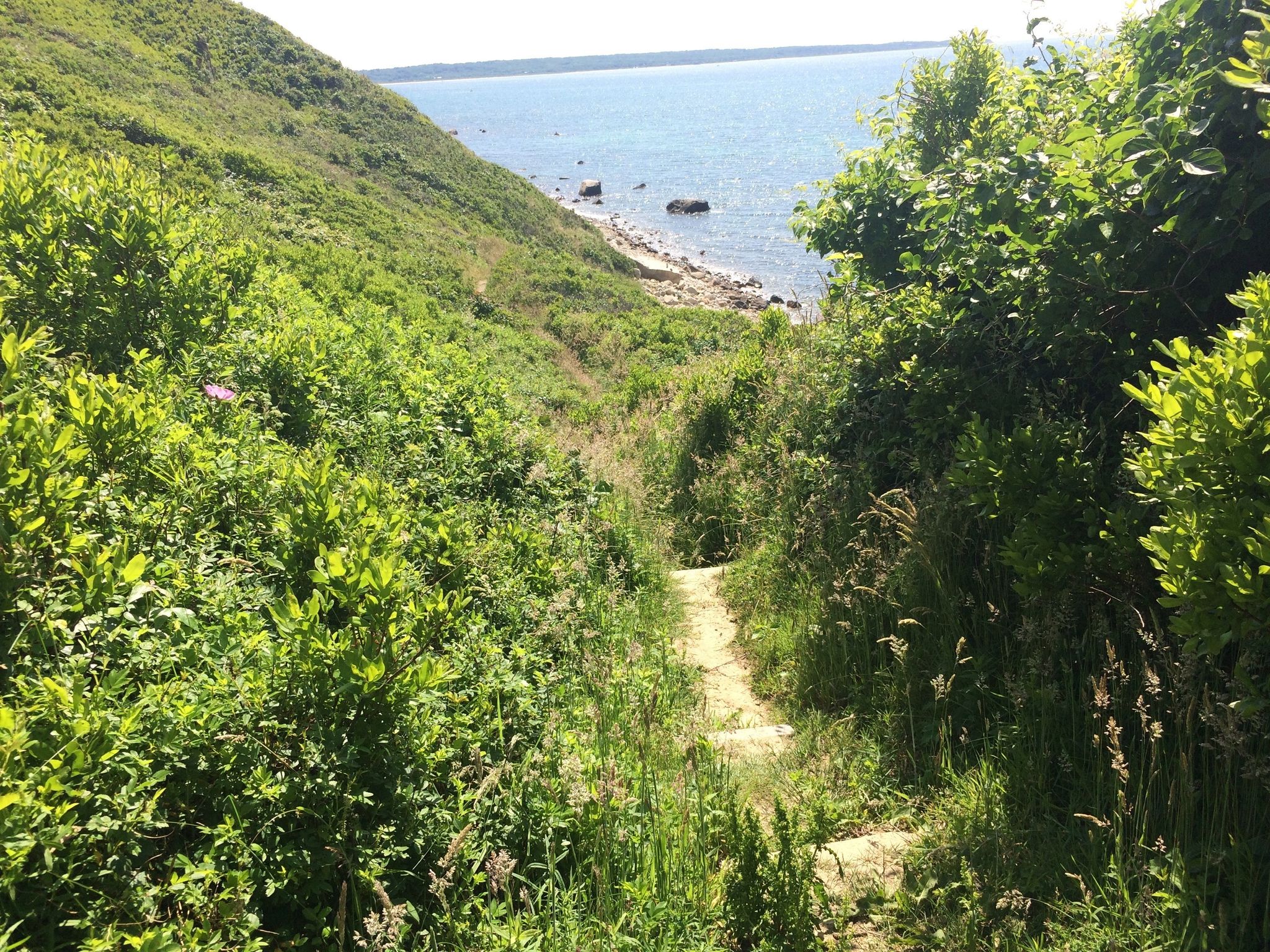 view of water from western path down to beach