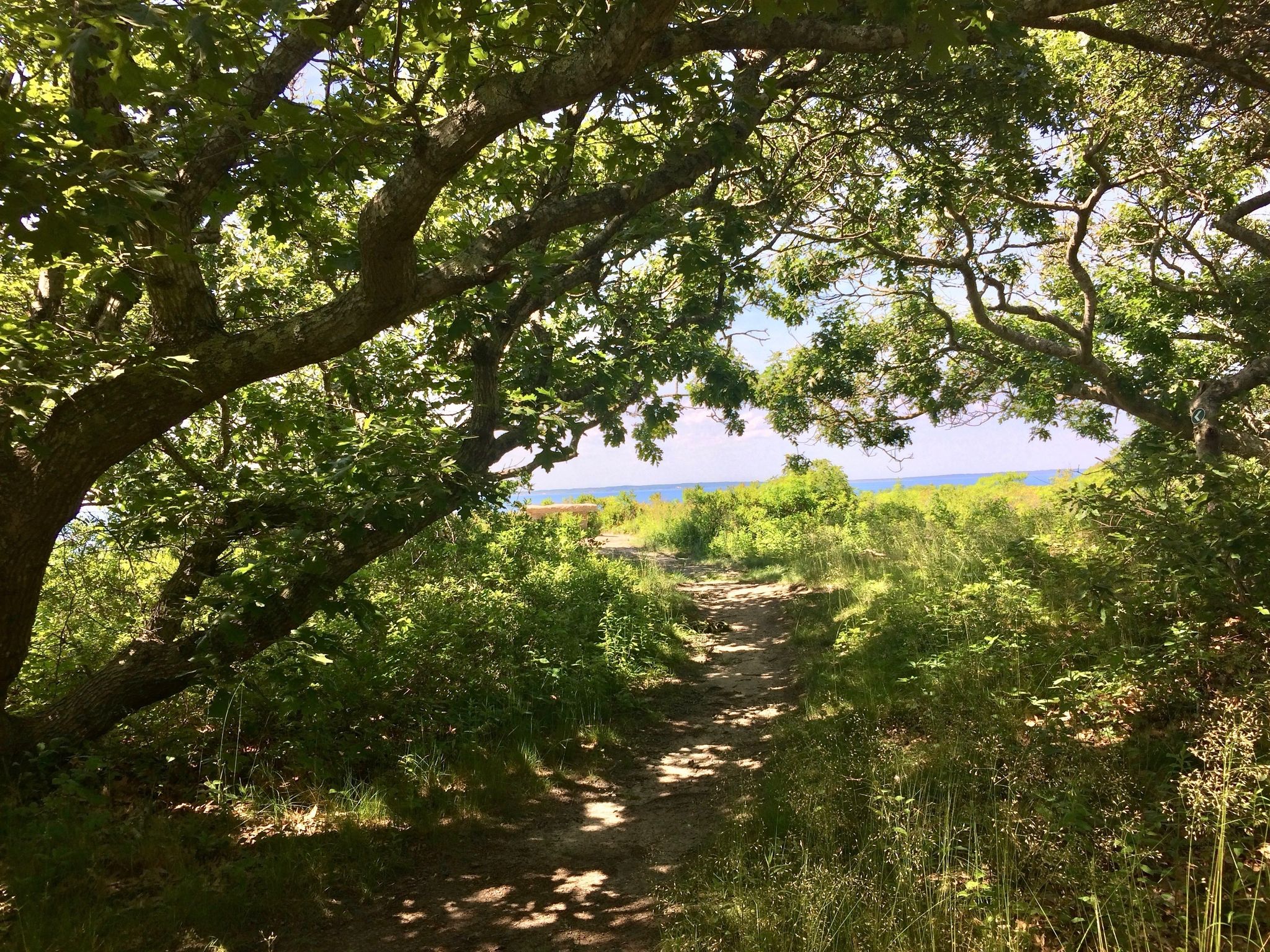 trail to bench overlooking sound