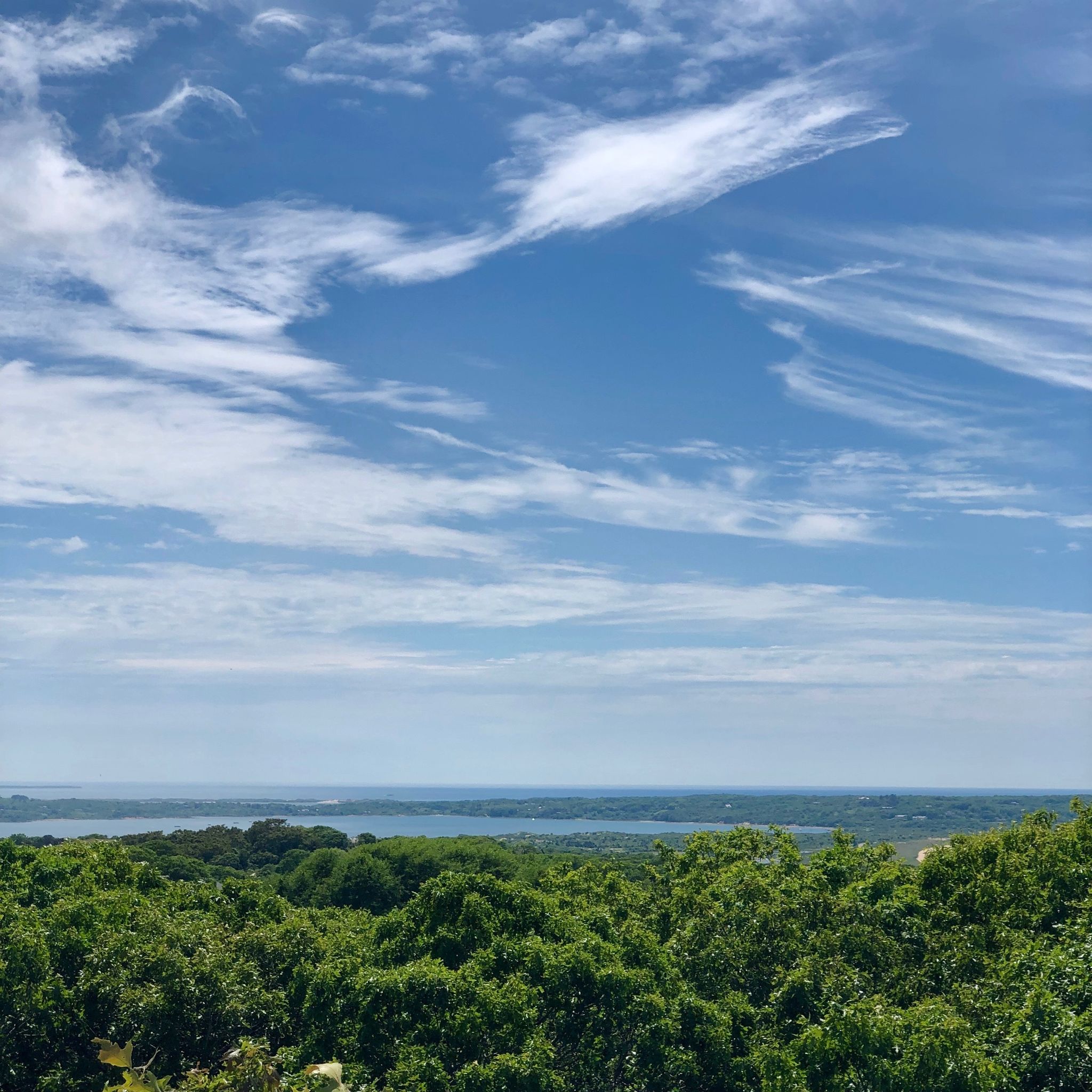 view from Prospect Hill