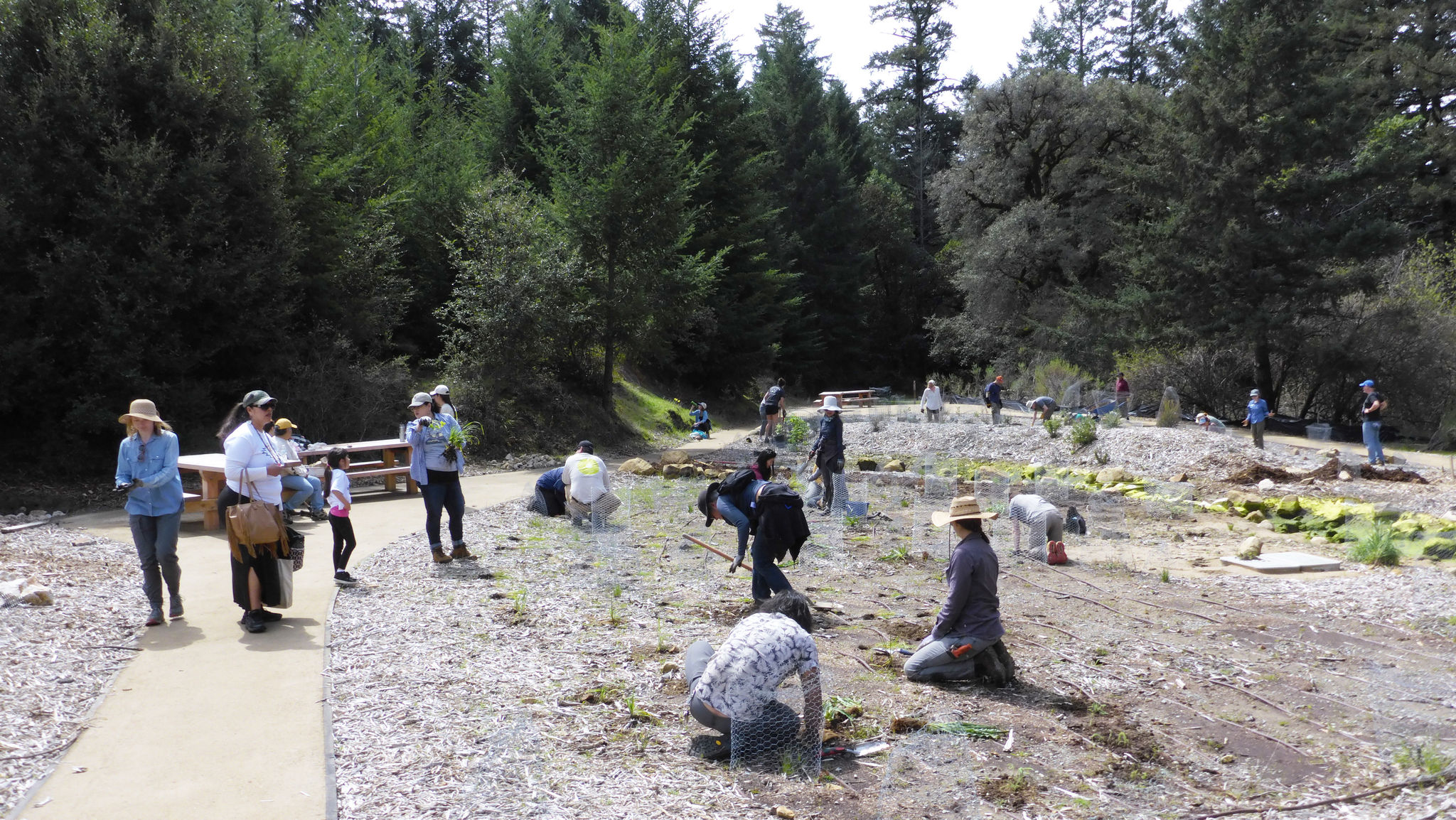 Members-of-the-Amah-Mutsun-Land-Trust-Install-Native-Plants-at-a-Volunteer-Garden-Tending-Day.jpg