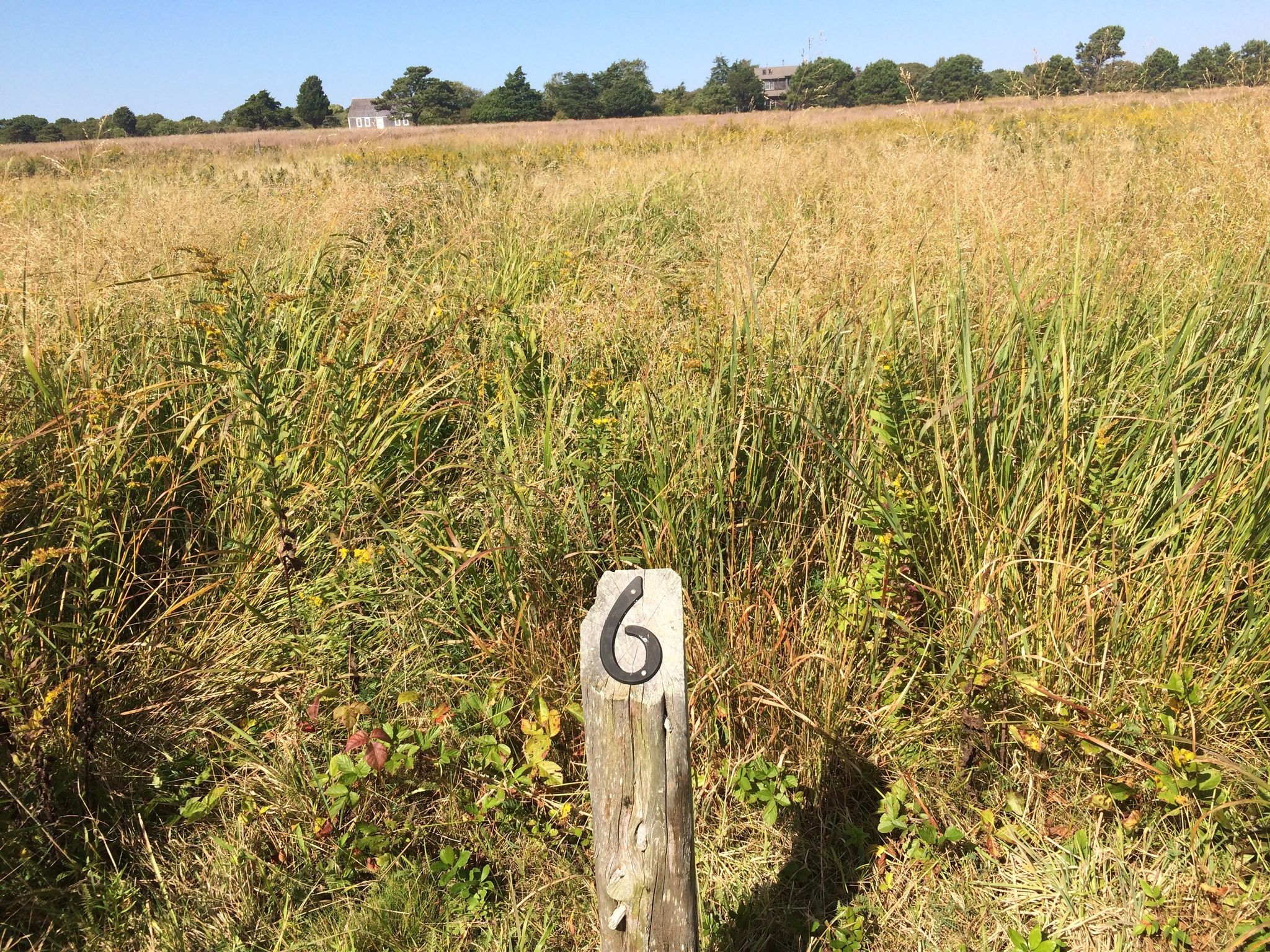 Trail Marker 6