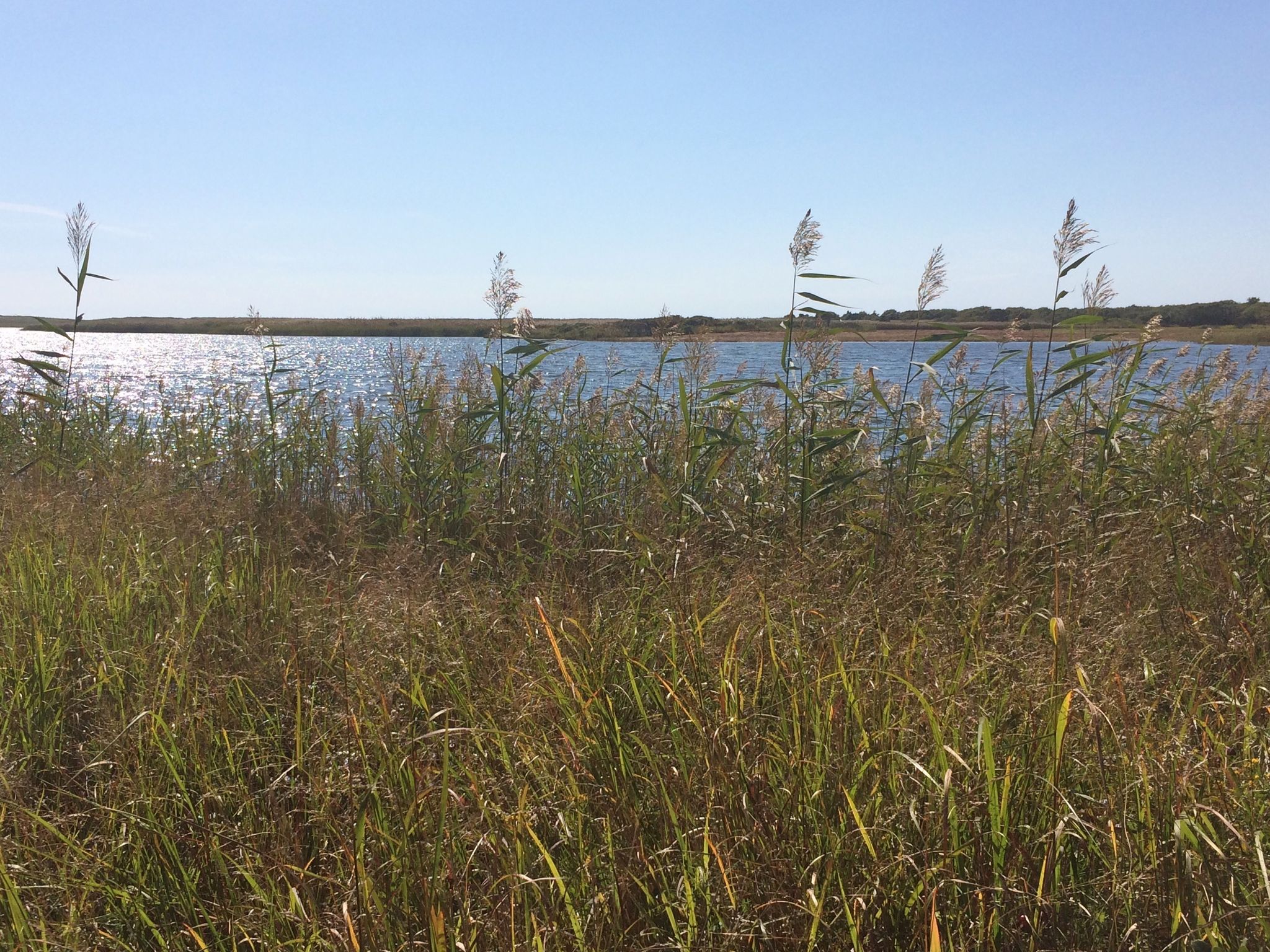 view of Blackpoint Pond