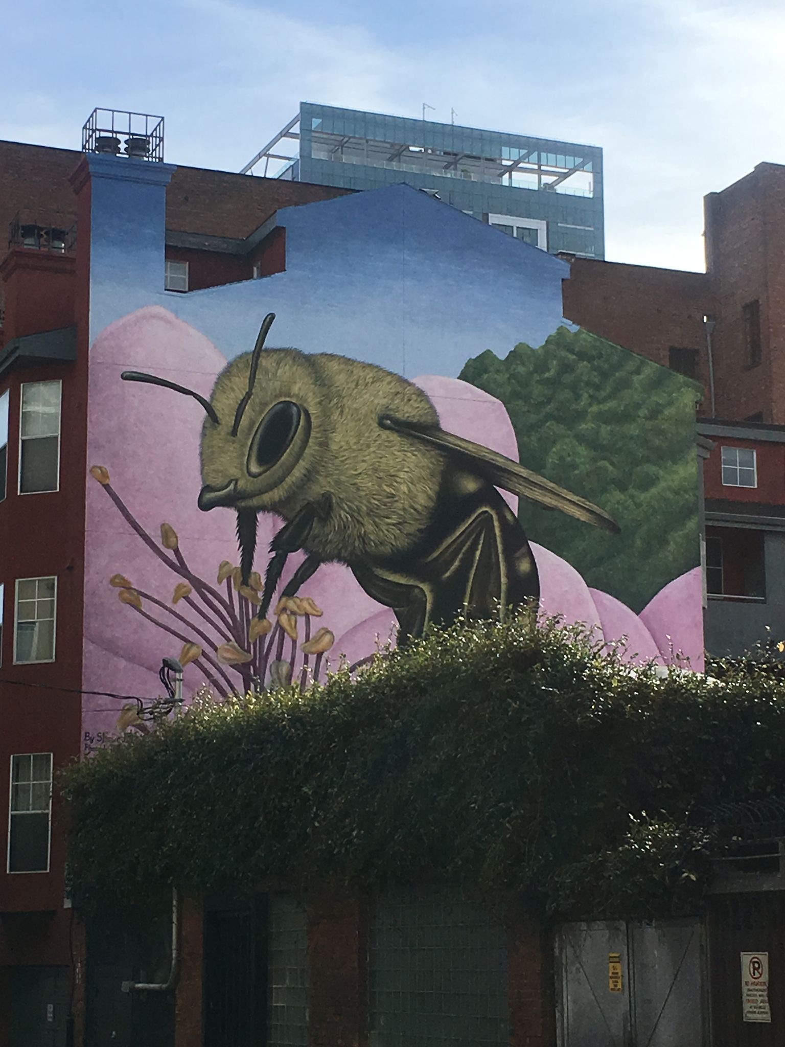 Bee Mural by Shawn Bullen