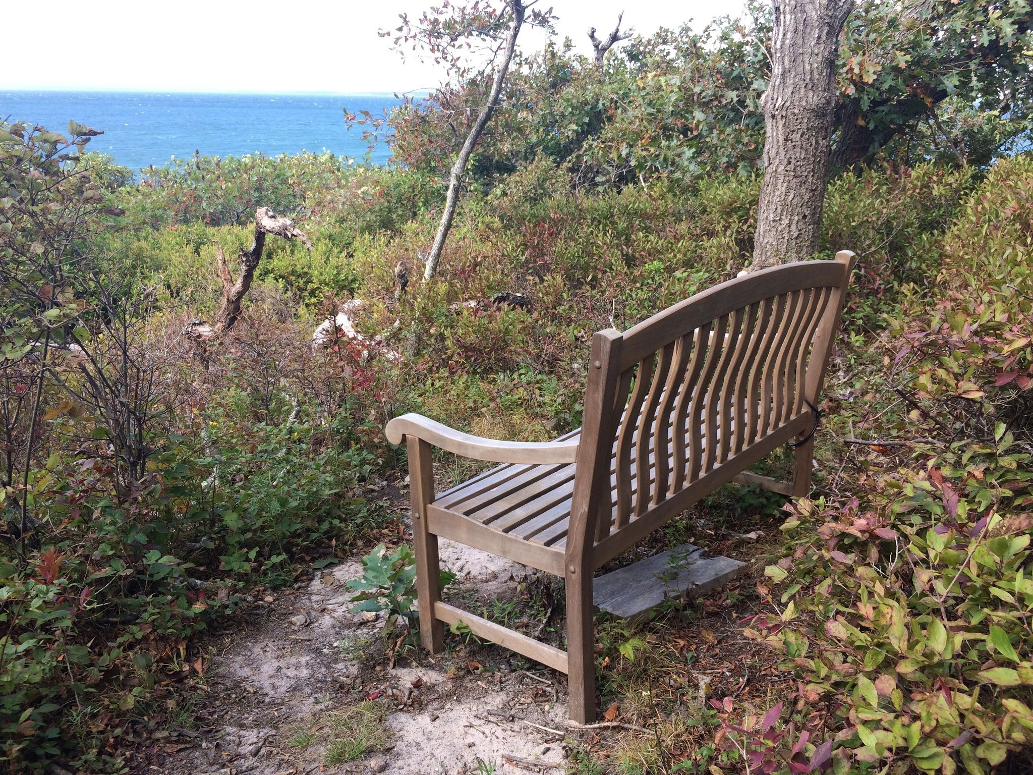 bench blue trail with beautiful view!