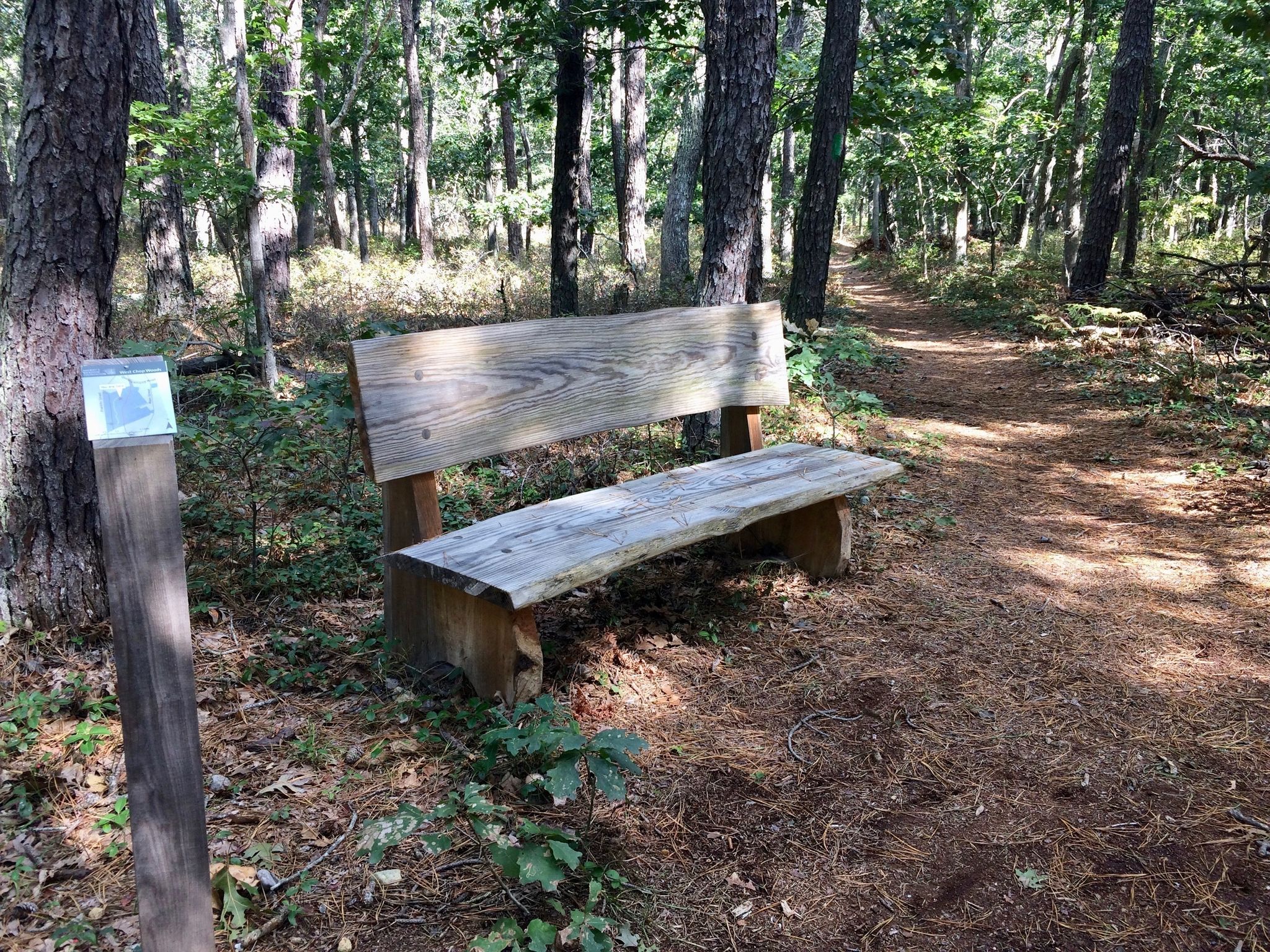 bench at green-yellow trail intersection