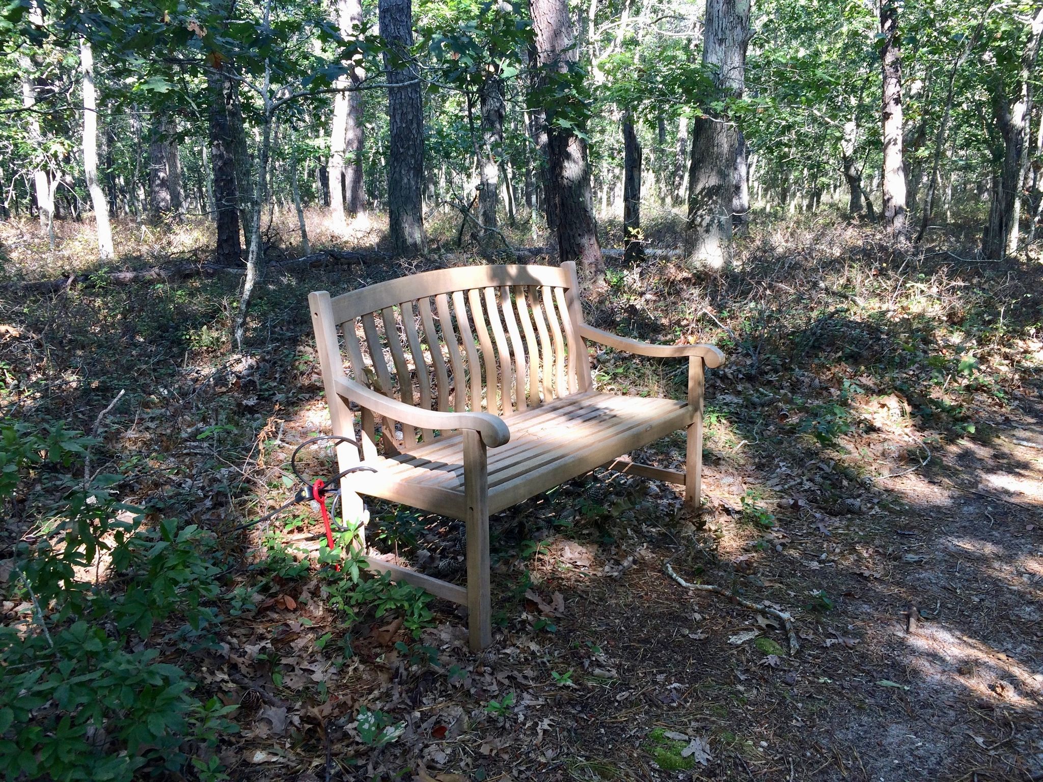 bench at red trail