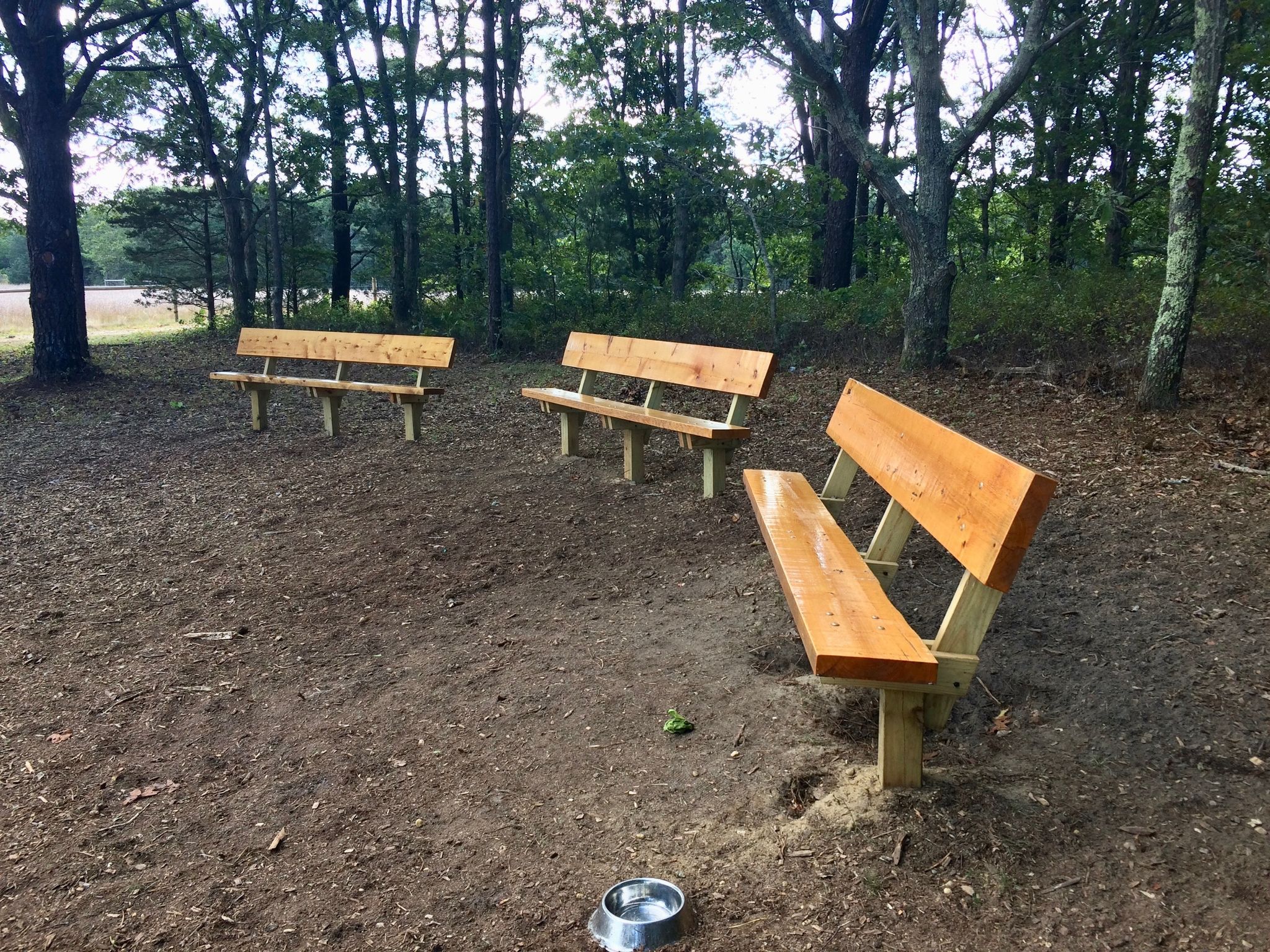 three benches overlooking field