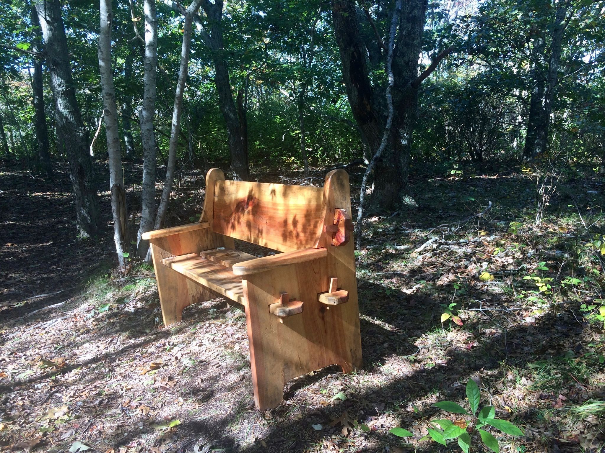 bench on blue trail