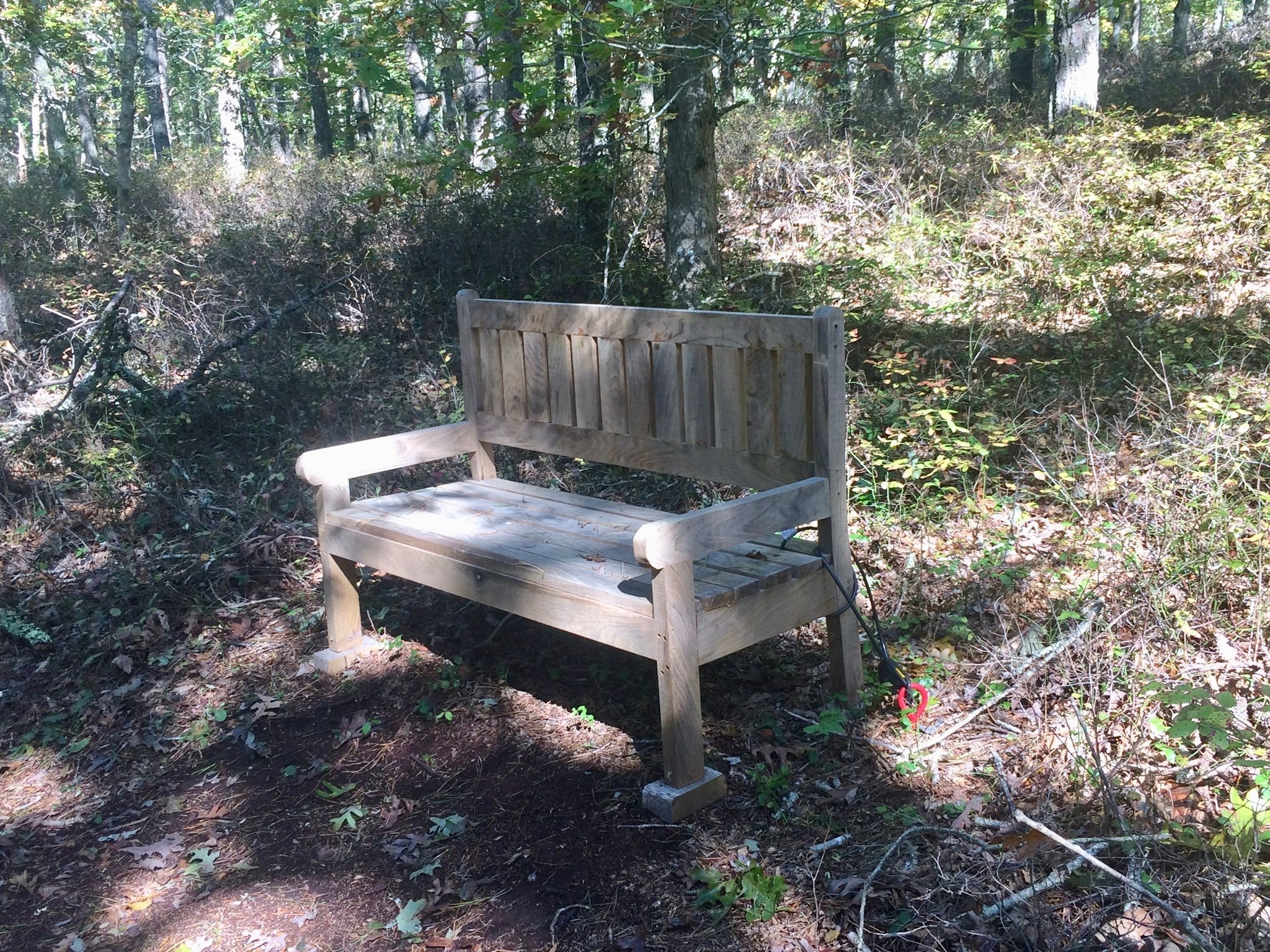 bench, purple trail
