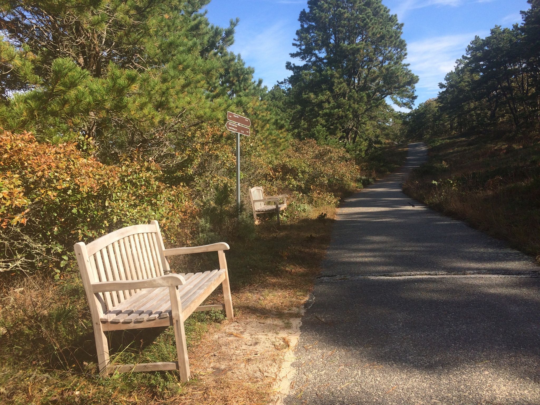 benches opposite Heath Hen sculpture