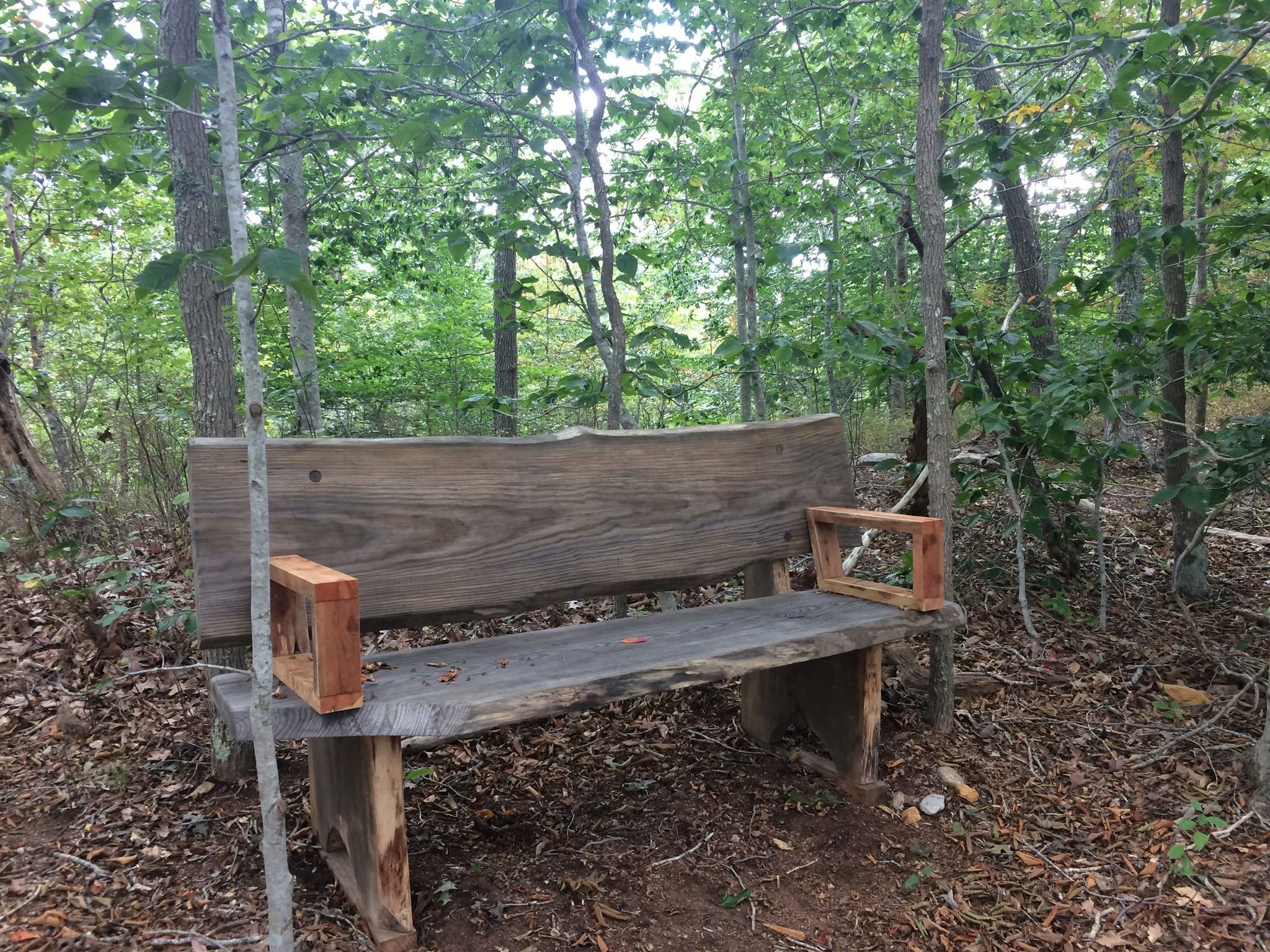 red trail bench by big erratic