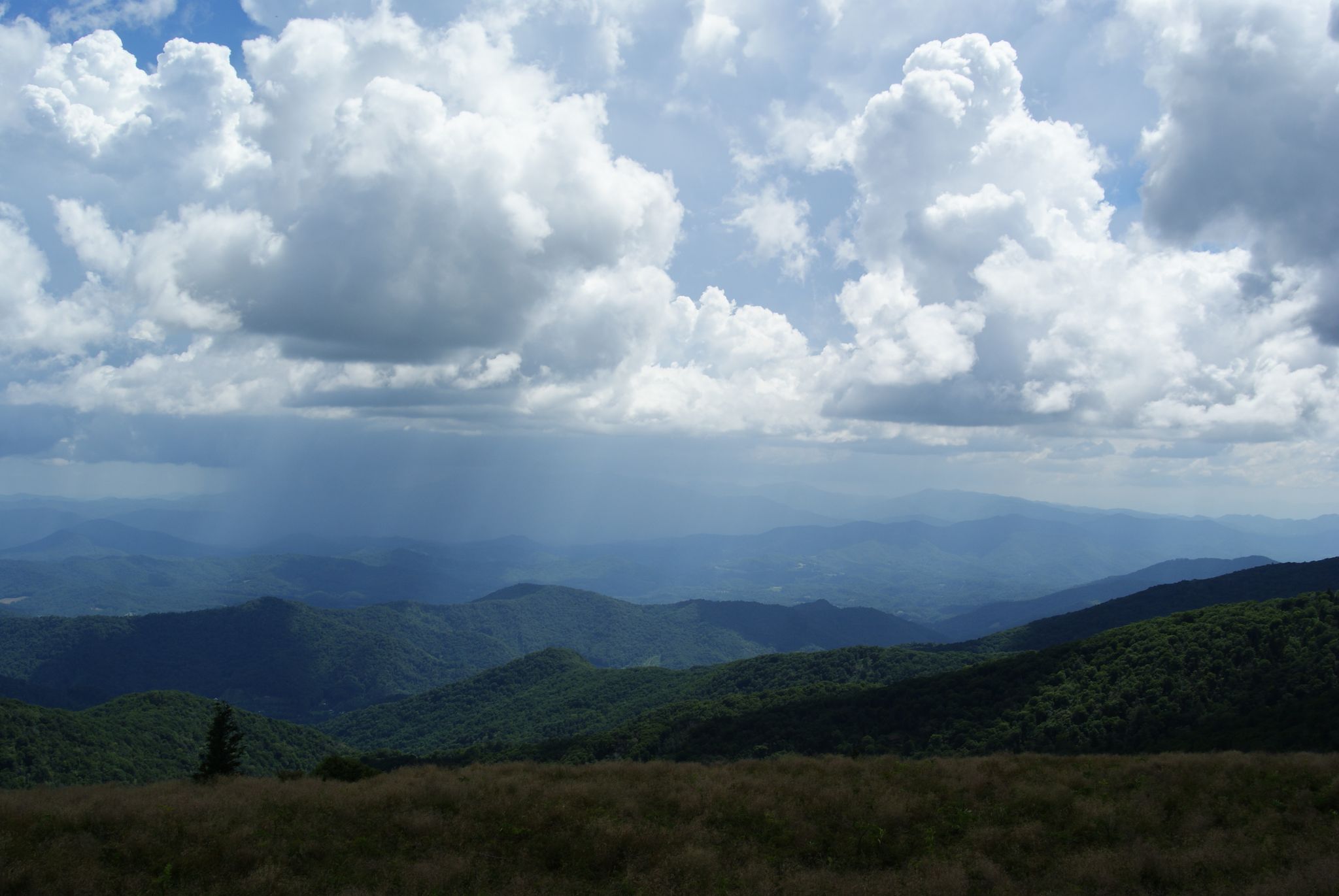 Appalachians from Roan Mountain State Park summit