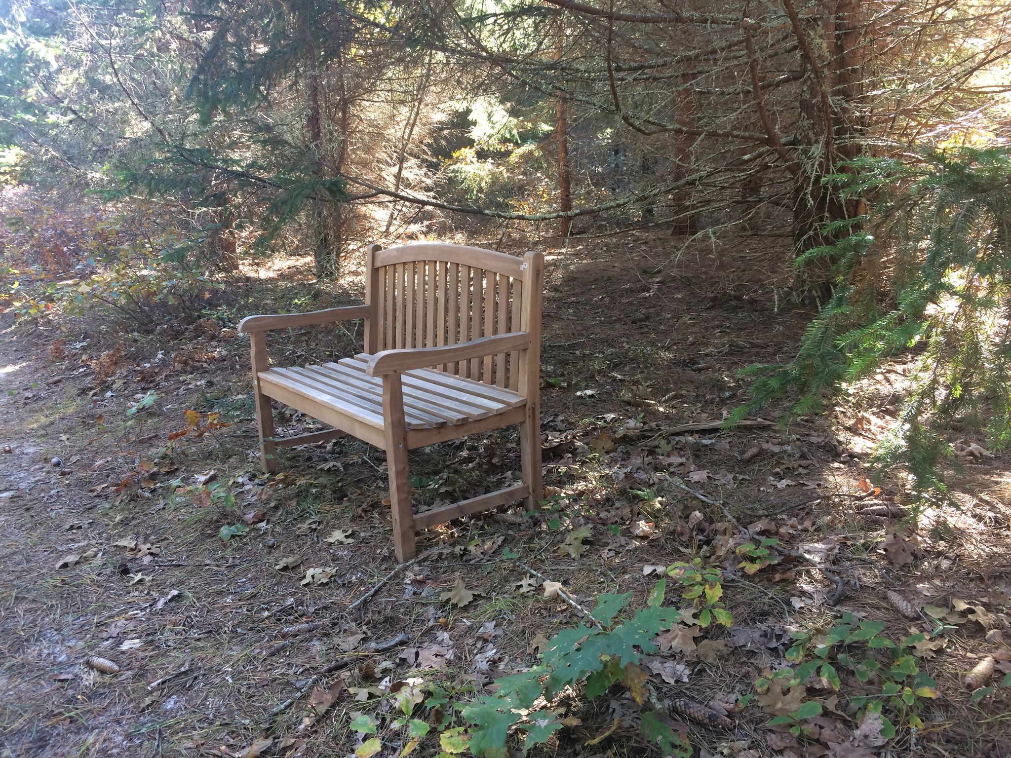 Dr Fisher Road bench