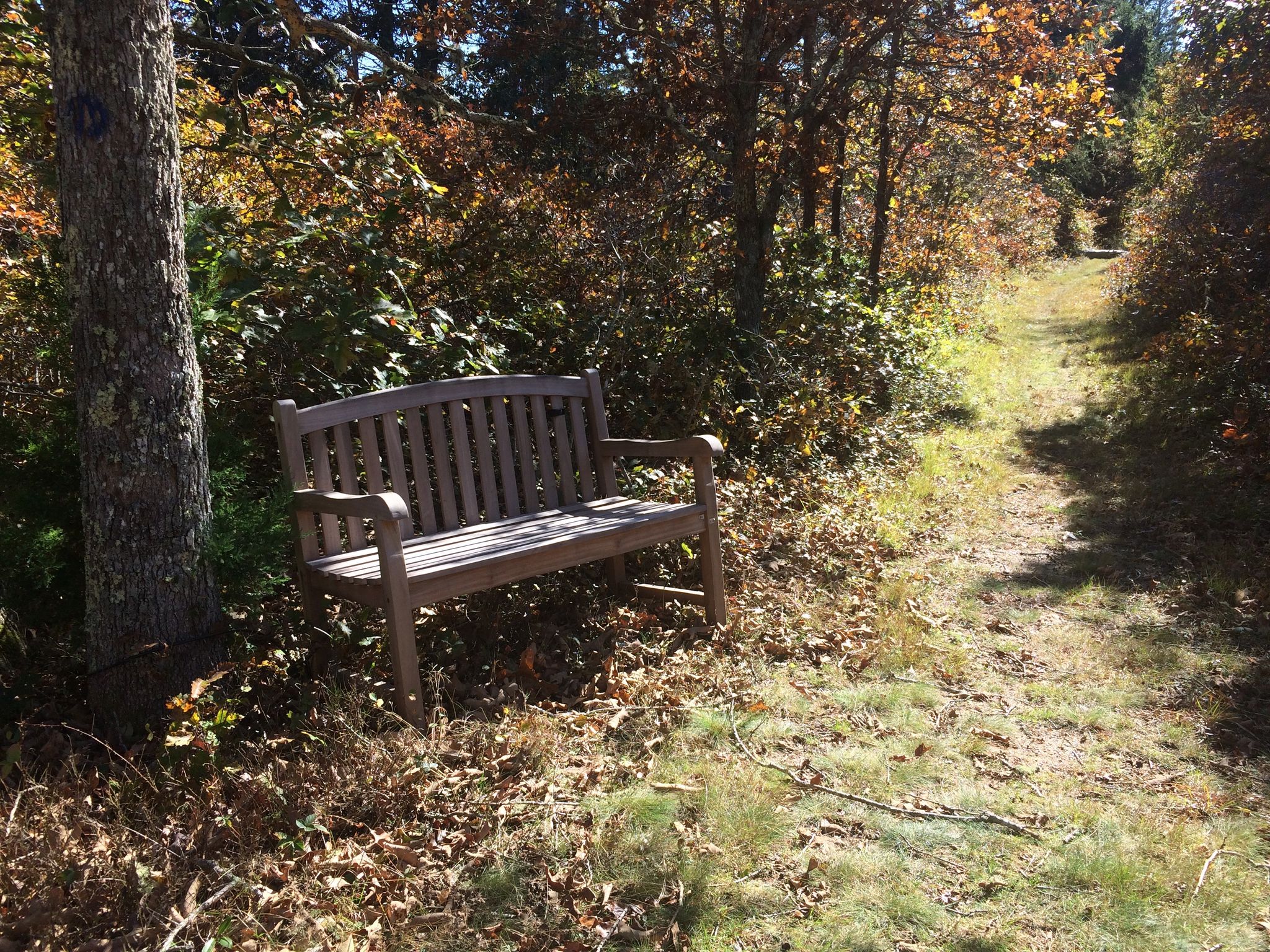 Quampache trail bench