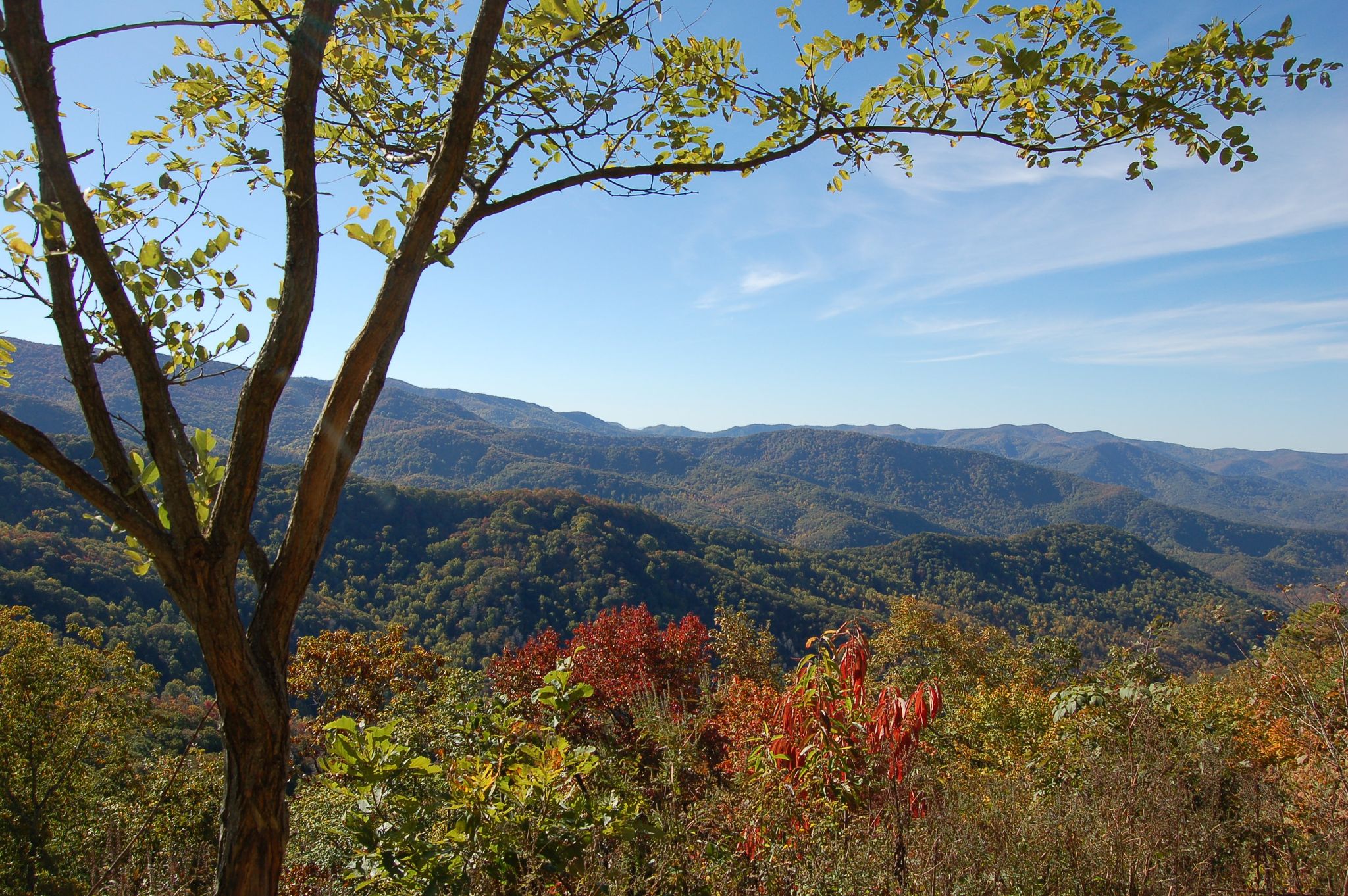 Enjoy the view from the Tellico River Road on the Cherokee National Forest in North Carolina.