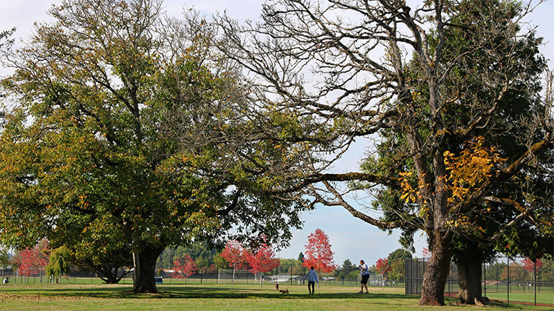 Gallery_Gradin_arboretum.jpg