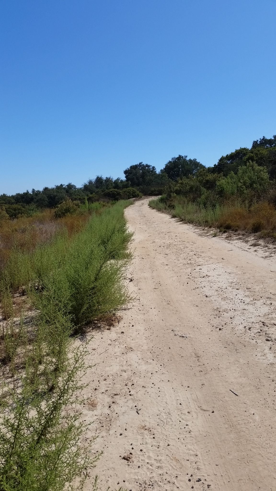 Manzanita Trail Midway