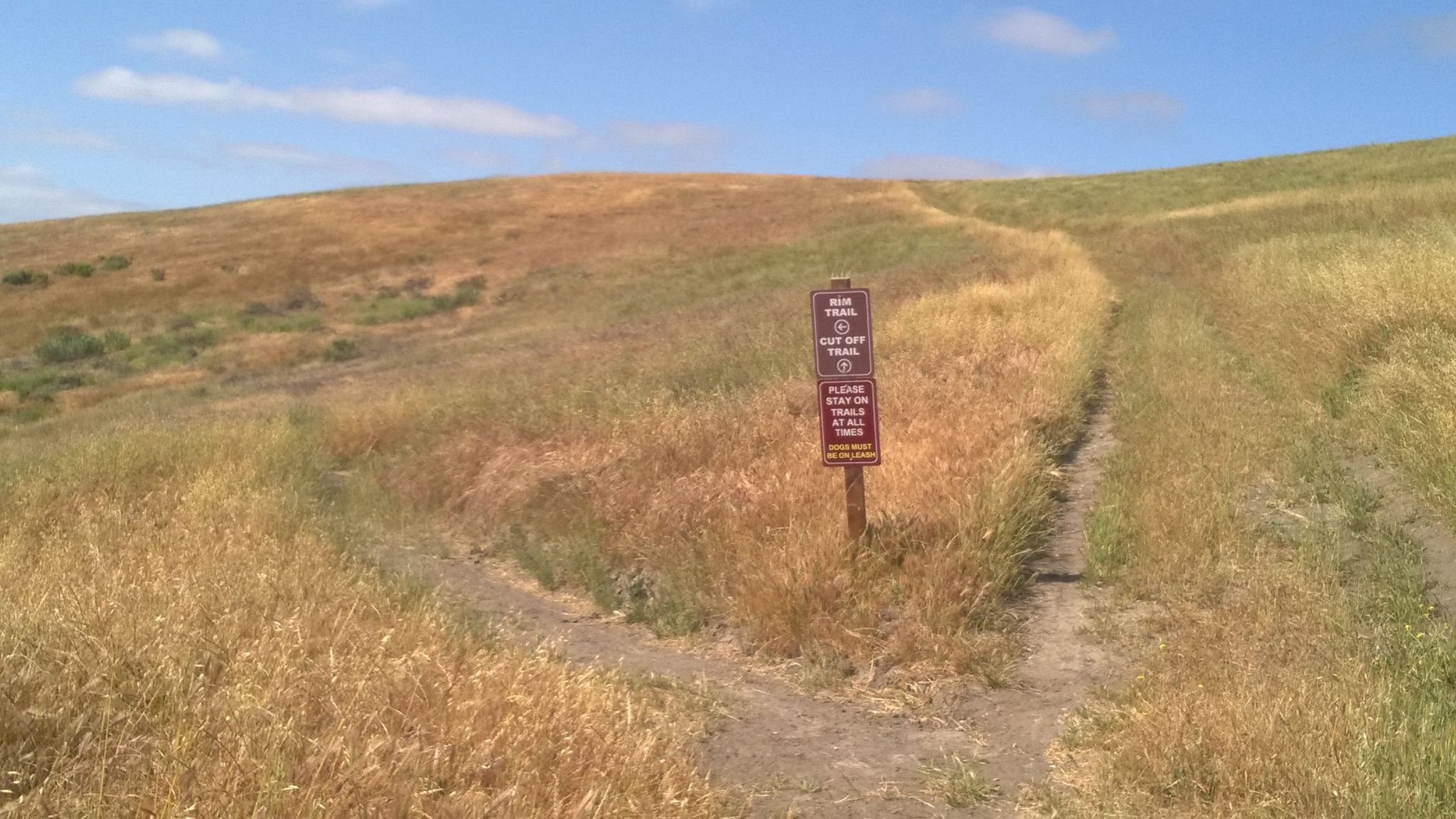 Rim & Cutoff Trail