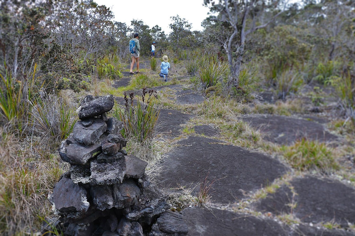 This short hike is perfect for families.