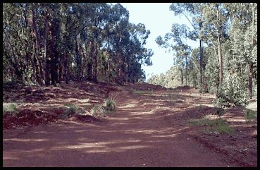 Kauhao Ridge Road