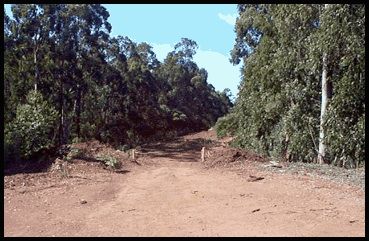 Entrance to Haeleele Ridge Road