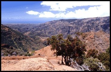 Viewpoint from Kohua Ridge Trail