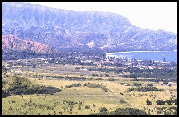 Scenic view from Okolehao Trail