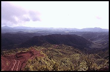 Scenic viewpoint from Powerline Trail