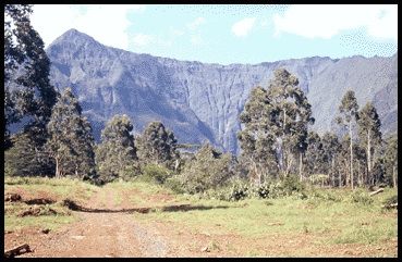 View of the mountains at Wailua Forestry Management Road